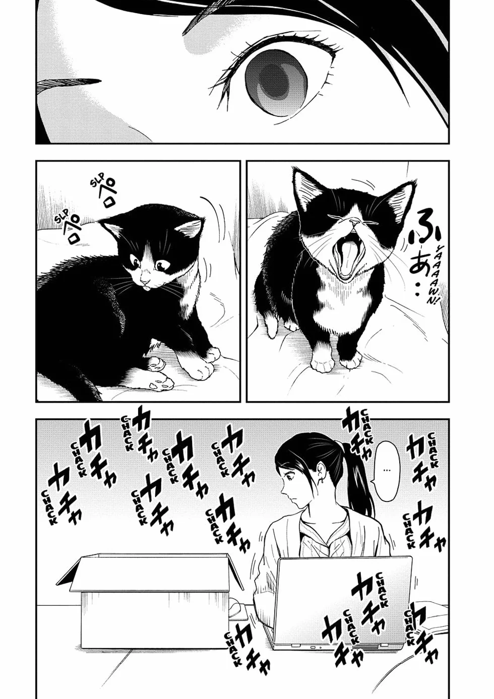 Cat + Gamer Volume 1