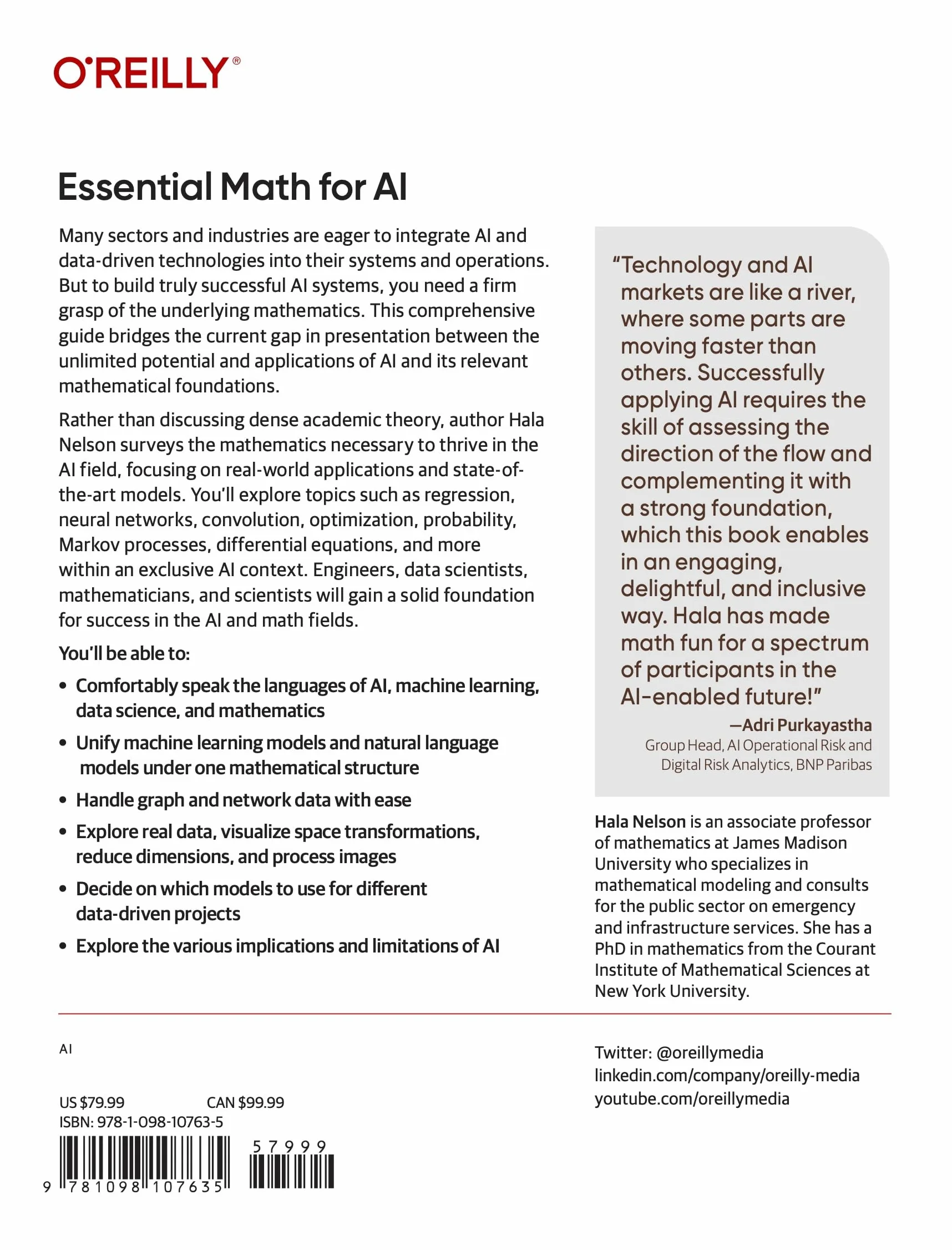 Essential Math for AI: Next-Level Mathematics for Efficient and Successful AI Systems