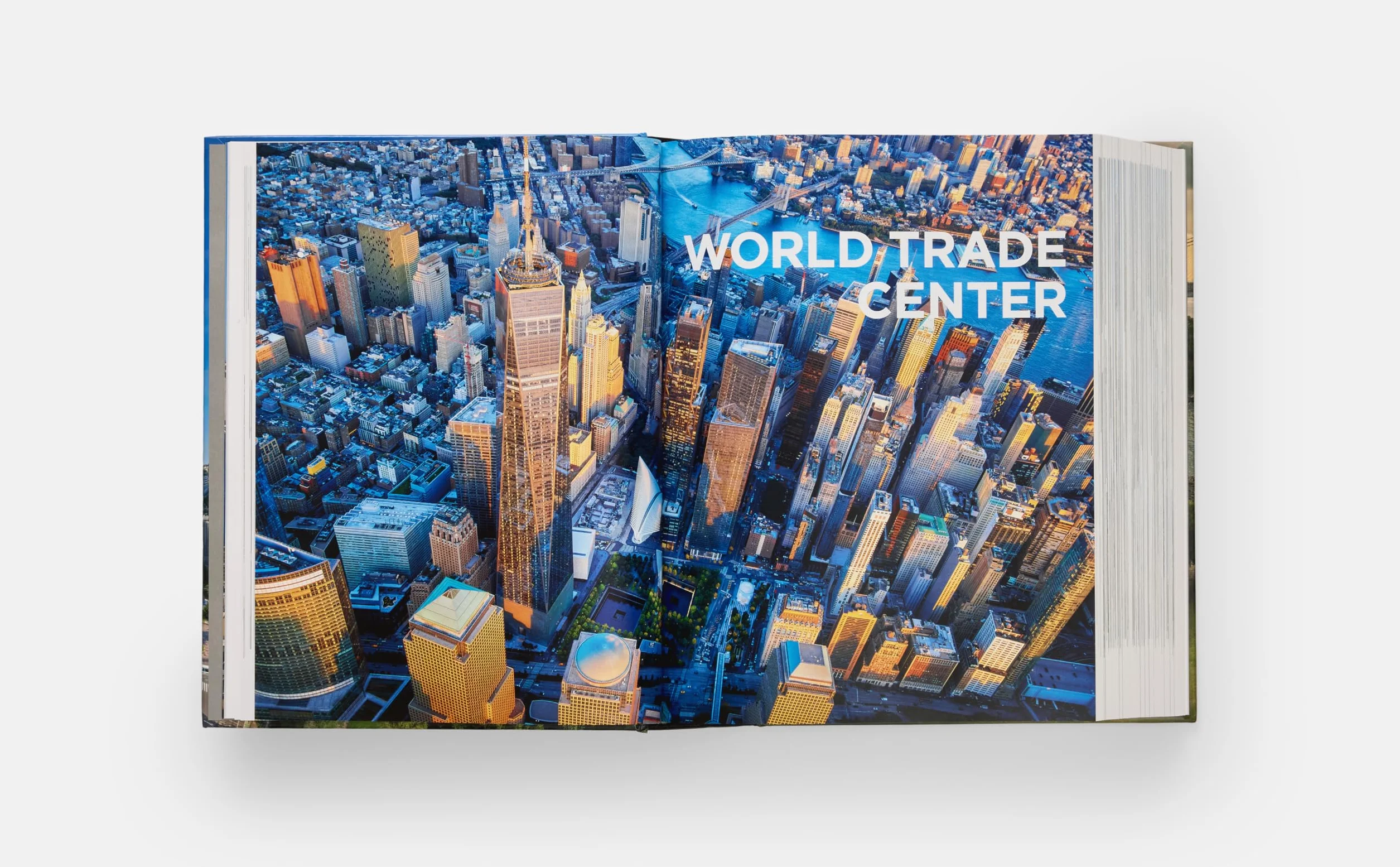 New York 2020: Architecture and urbanism at the beginning of a new century