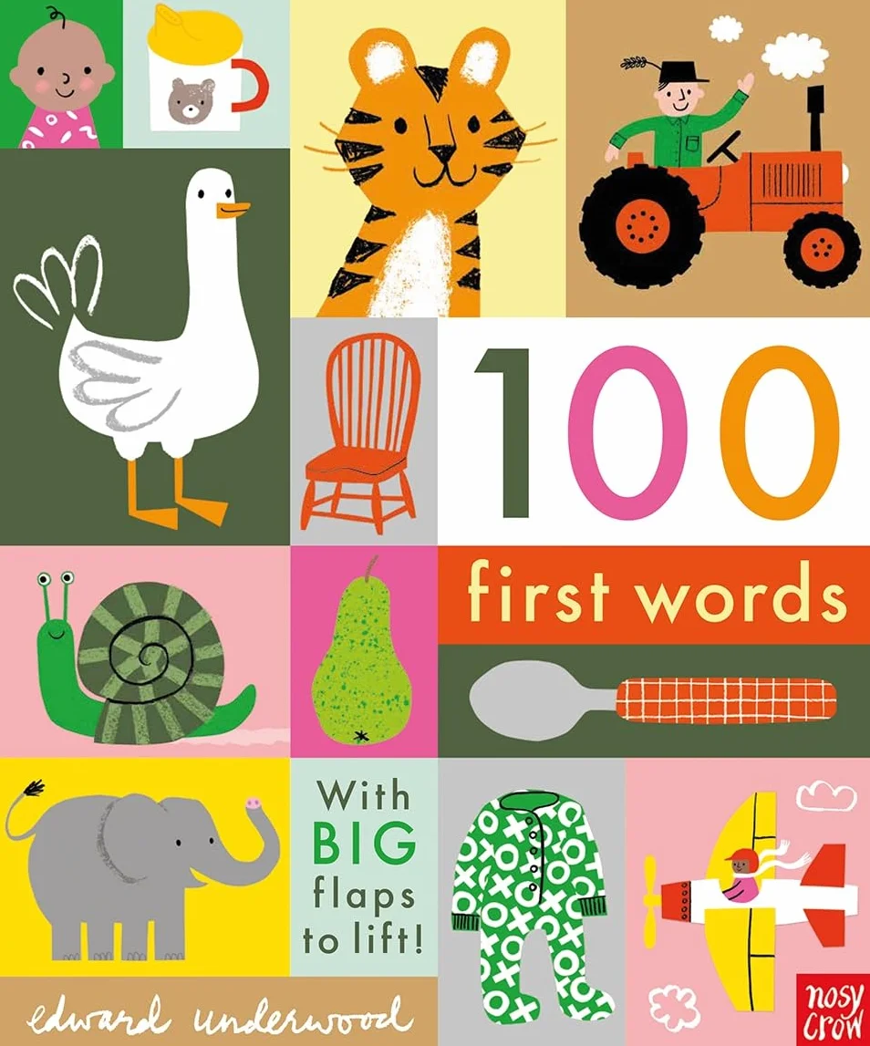 100 First Words: With BIG flaps to lift!