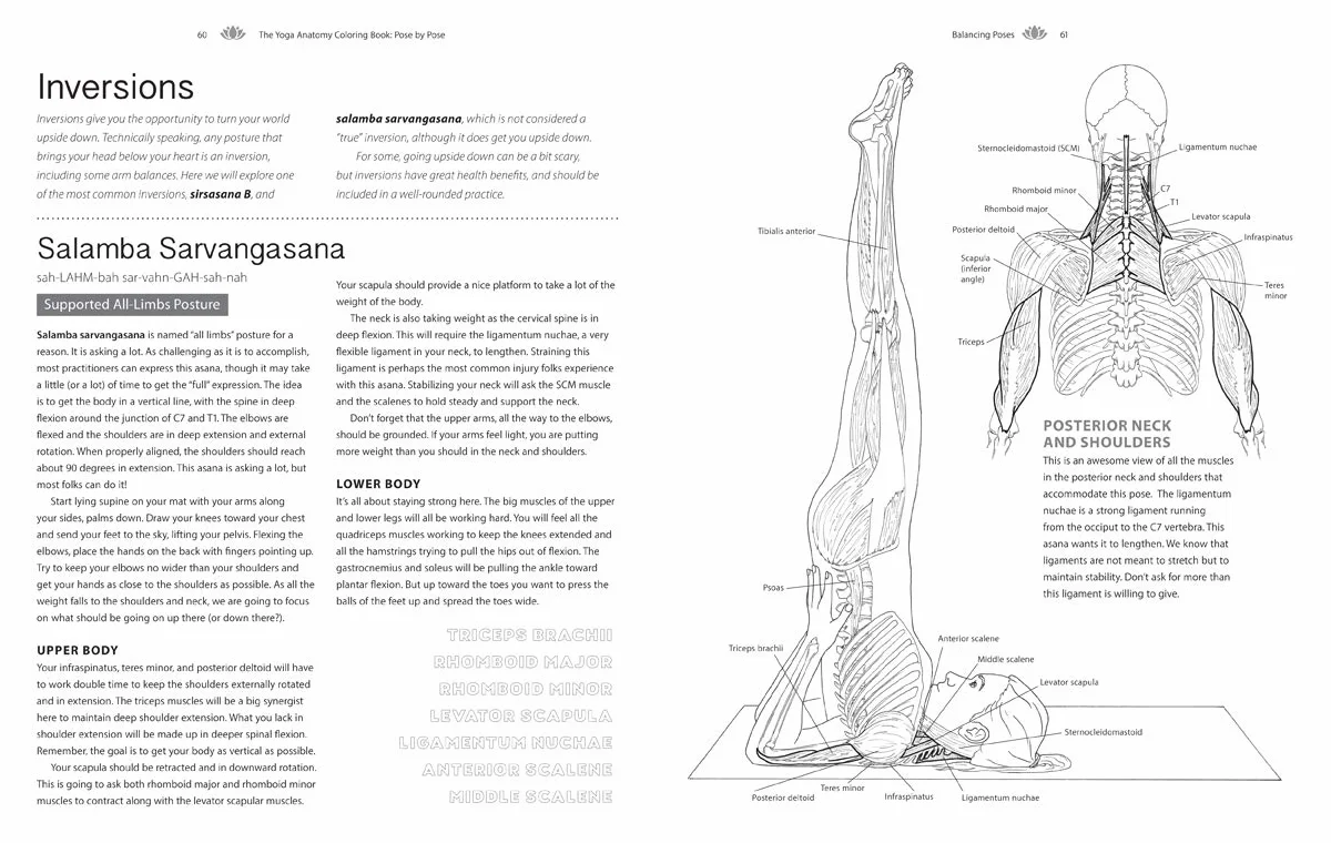 The Yoga Anatomy Coloring Book: Pose by Pose: Learn the Anatomy and Enhance Your Practice - An Educational Anatomy Coloring Book for Yoga Teachers, Medical Students, & Adults (Volume 2)