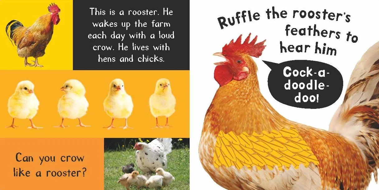 Noisy Farm: Includes Six Sounds!
