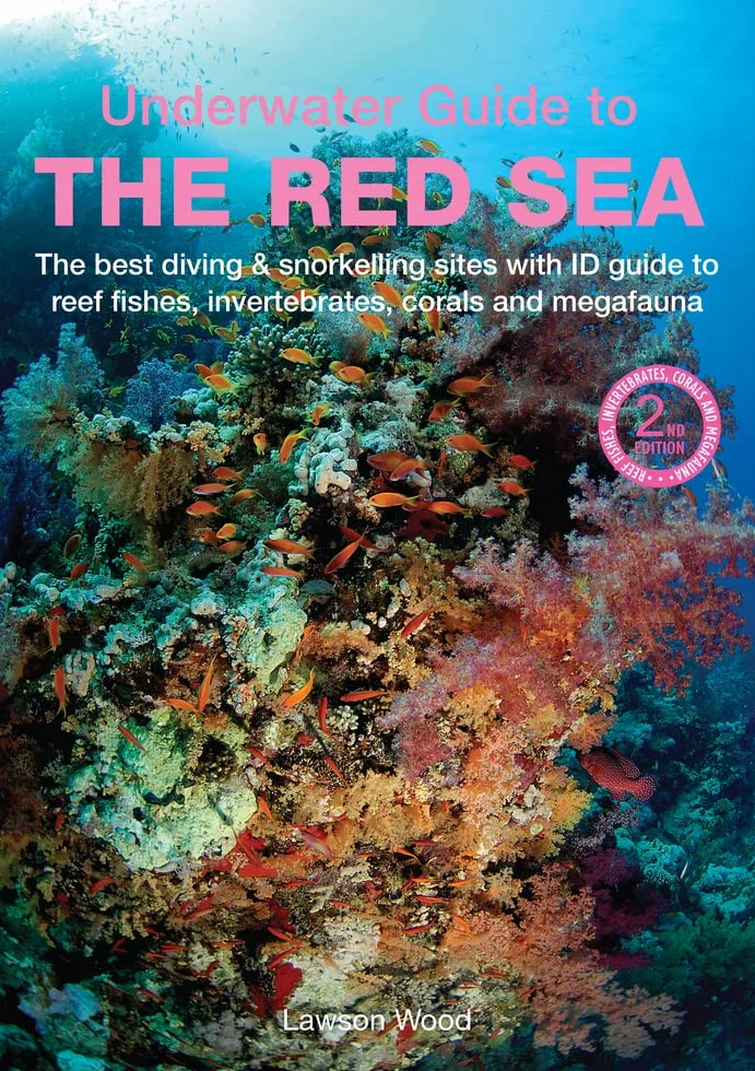 An Underwater Guide to the Red Sea