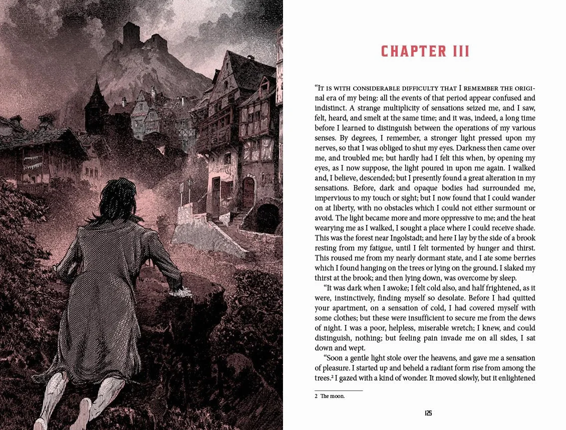 Frankenstein (Deluxe Edition): (Deluxe Illustrated Classics)