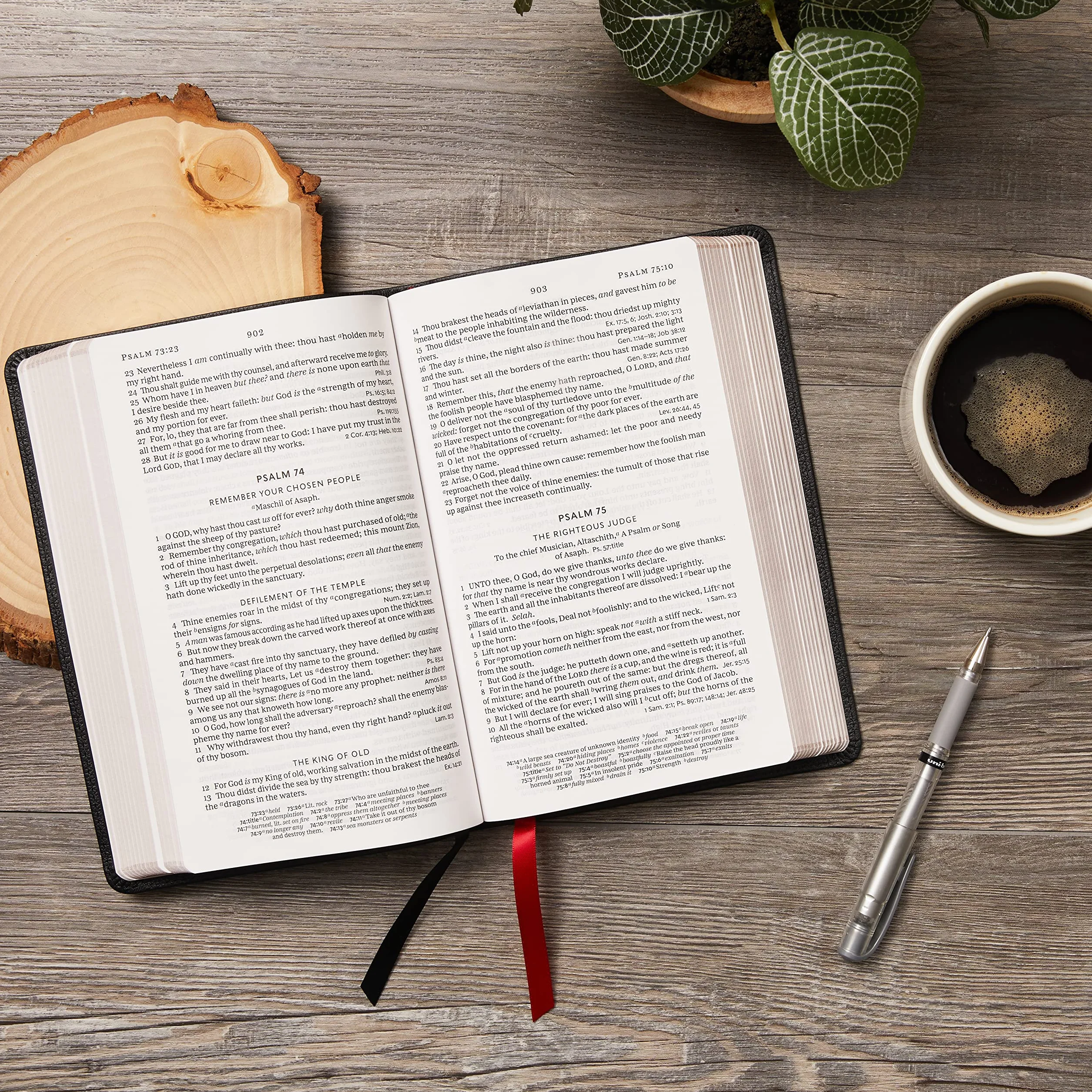 KJV Holy Bible: Large Print Single-Column with 43,000 End-Of-Verse Cross References, Brown Leathersoft, Personal Size, Red Letter, Comfort Print: King James Version: Holy Bible, King James Version