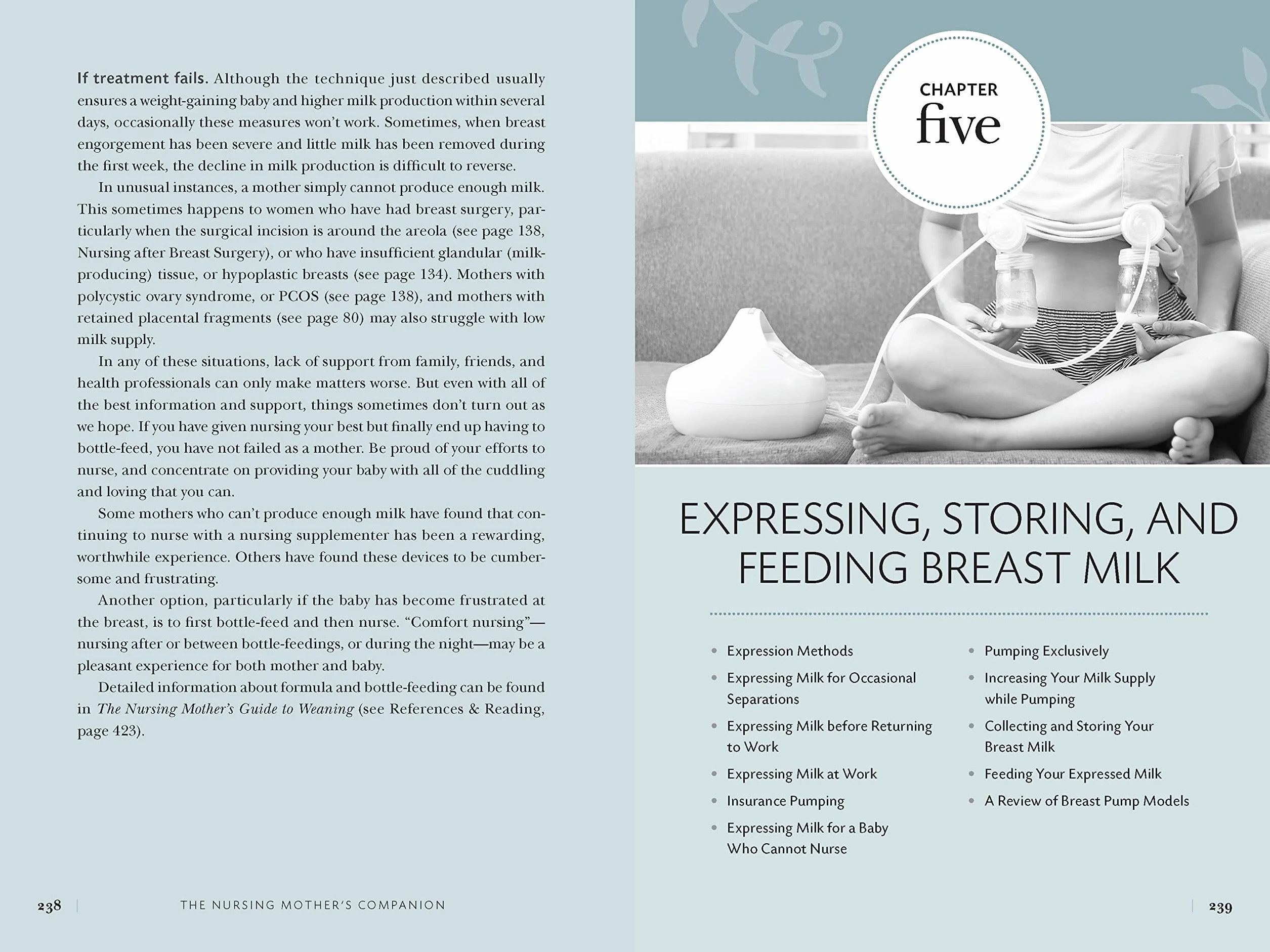 Nursing Mother's Companion 8th Edition: The Breastfeeding Book Mothers Trust, from Pregnancy Through Weaning
