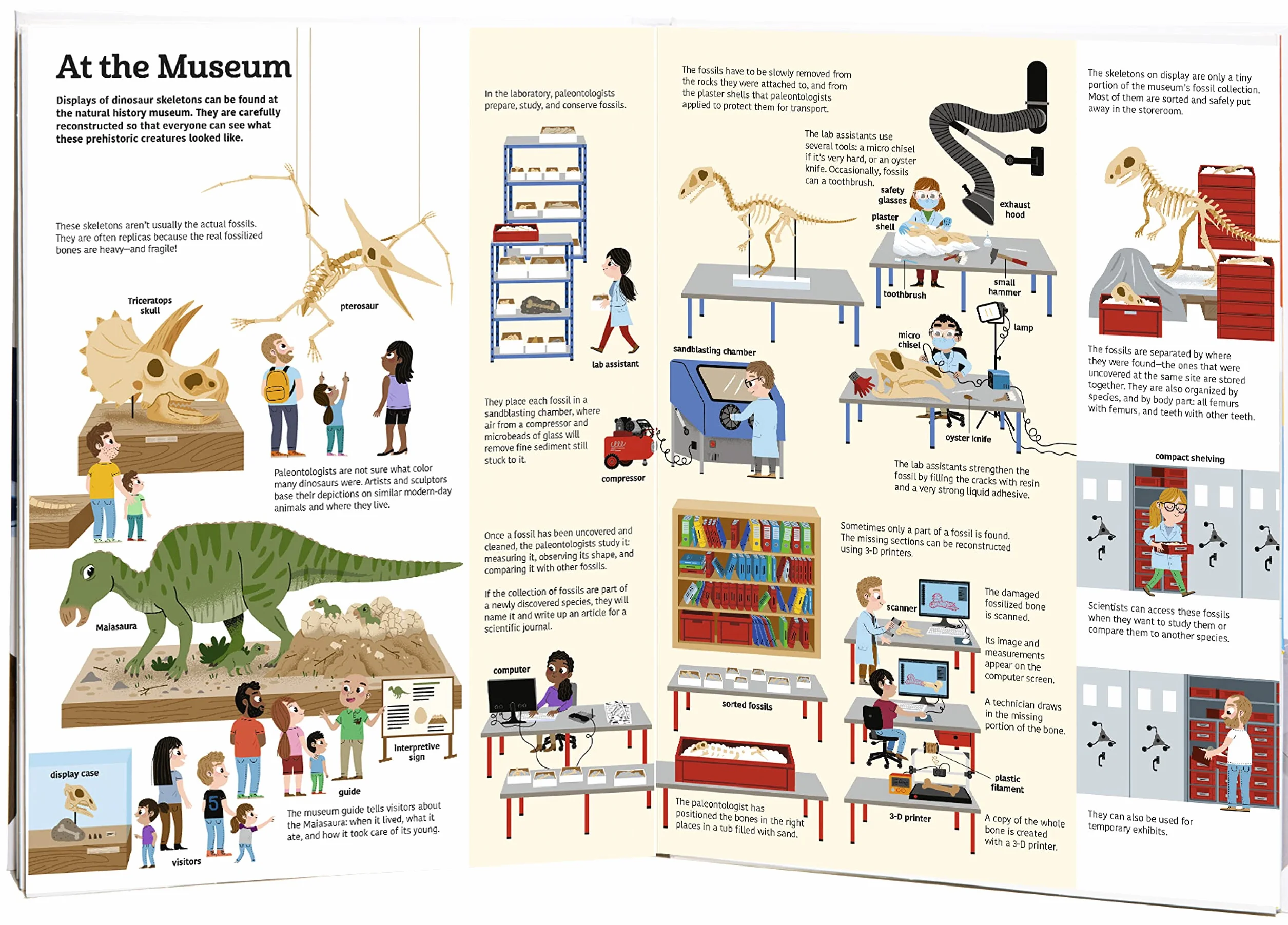 The Ultimate Book of Dinosaurs and Other Prehistoric Creatures: Lift-the-Flap Book: 10