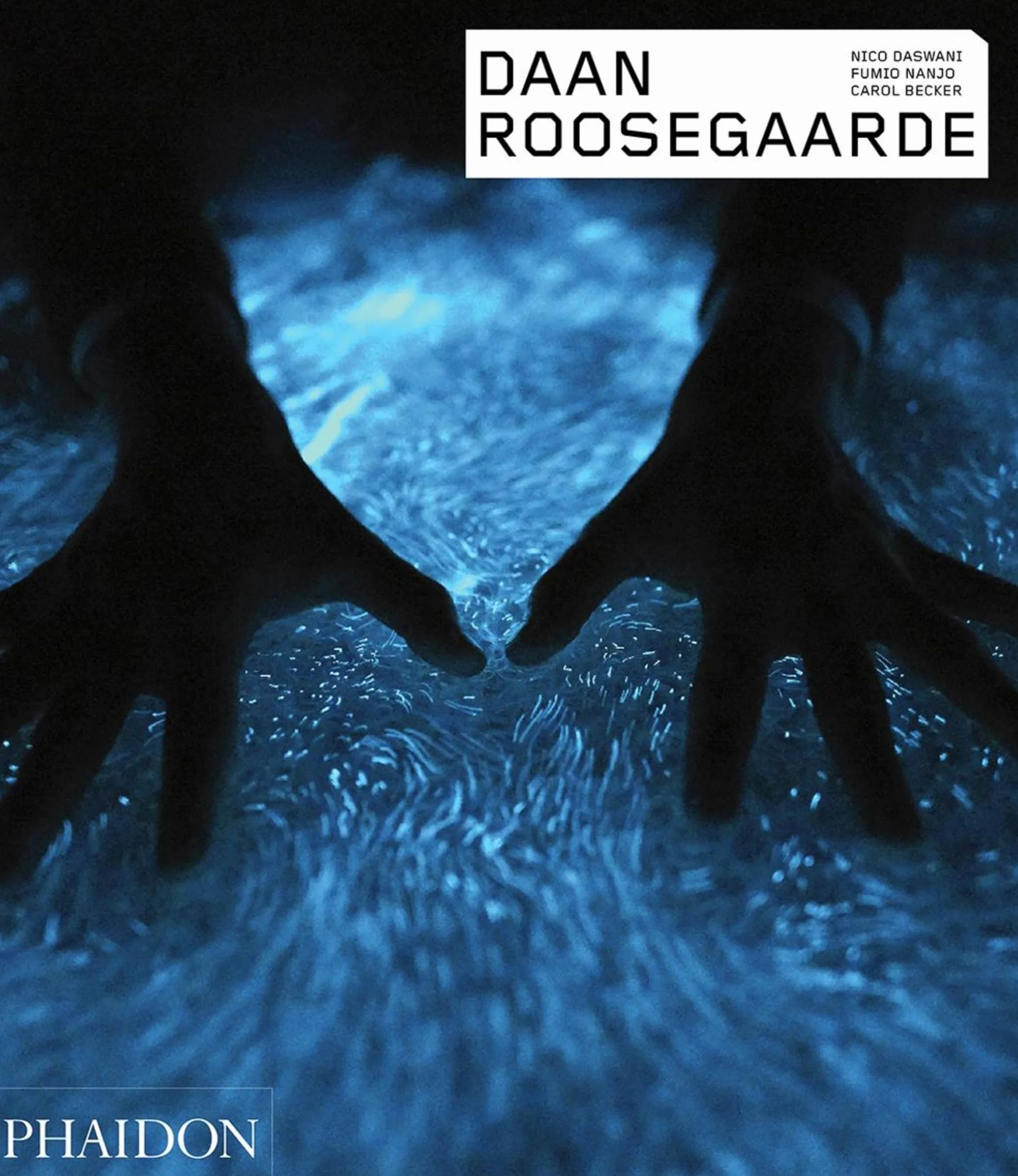 Daan Roosegaarde