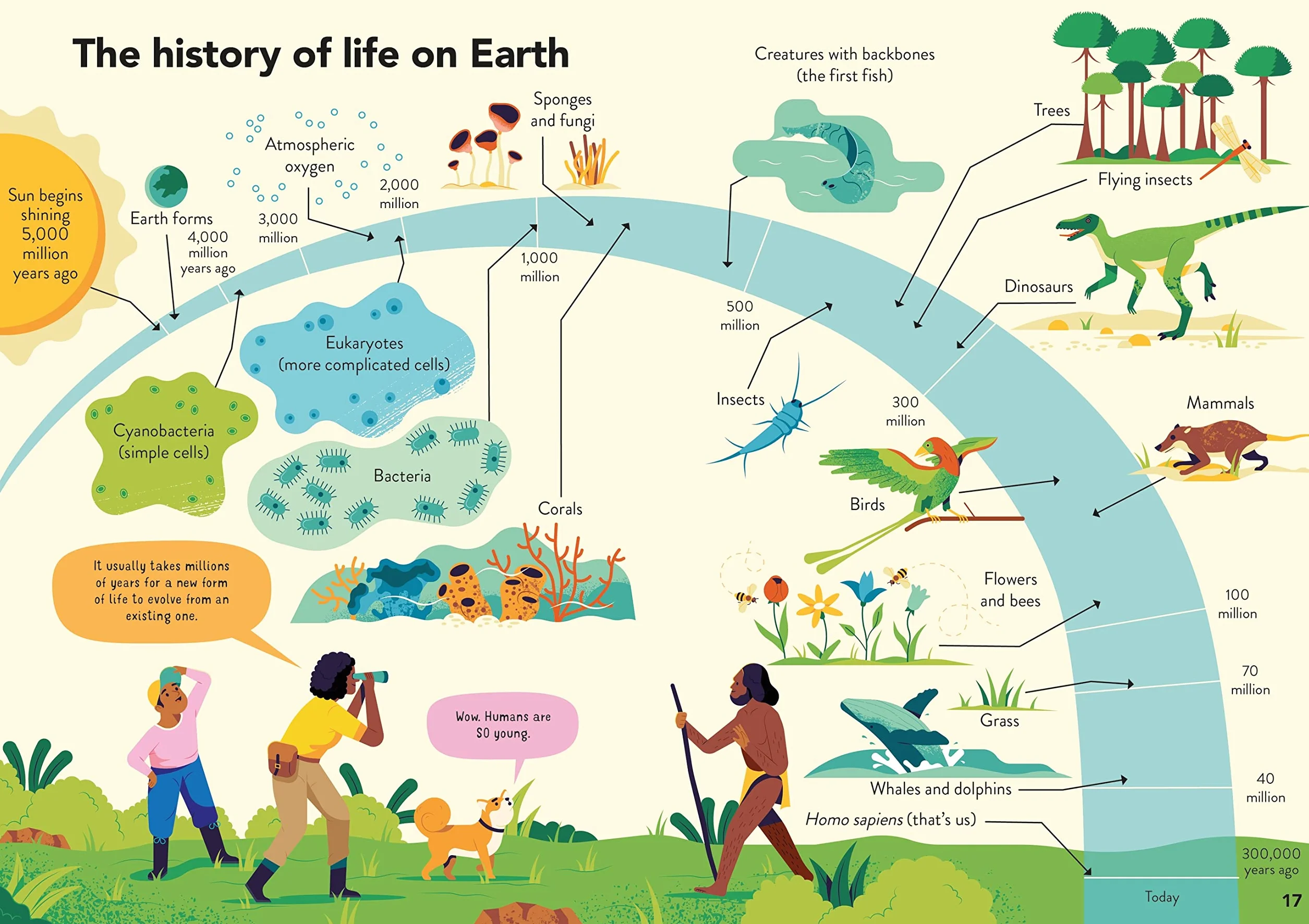 Ecology for Beginners