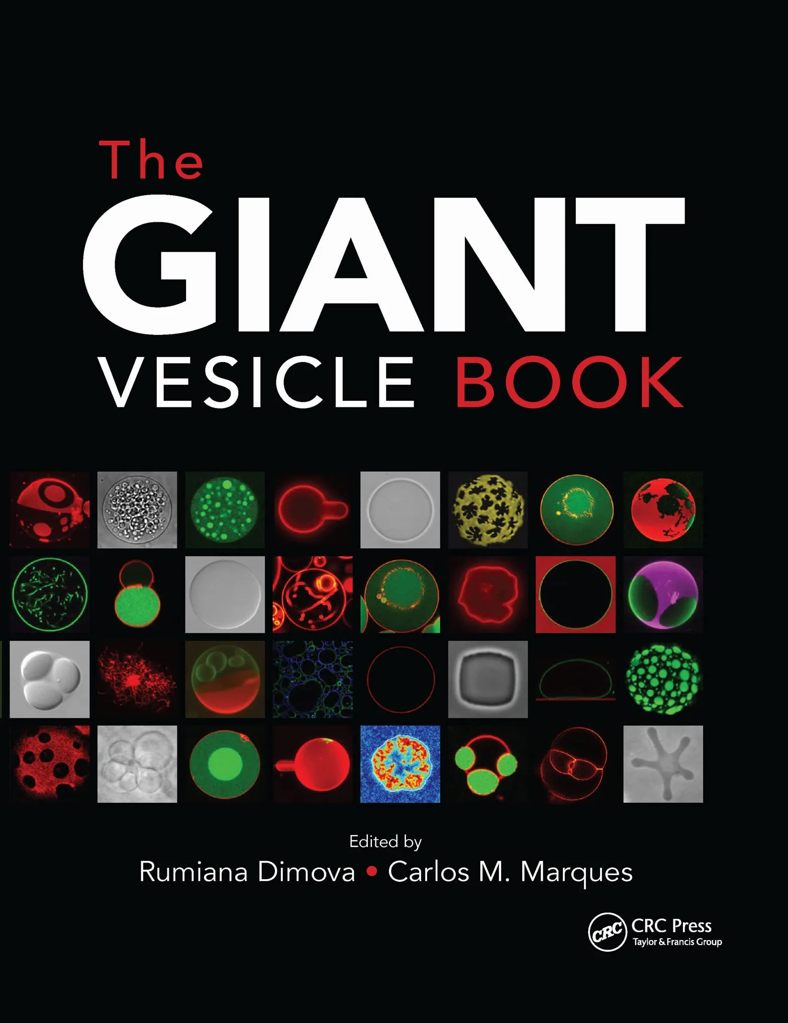 The Giant Vesicle Book