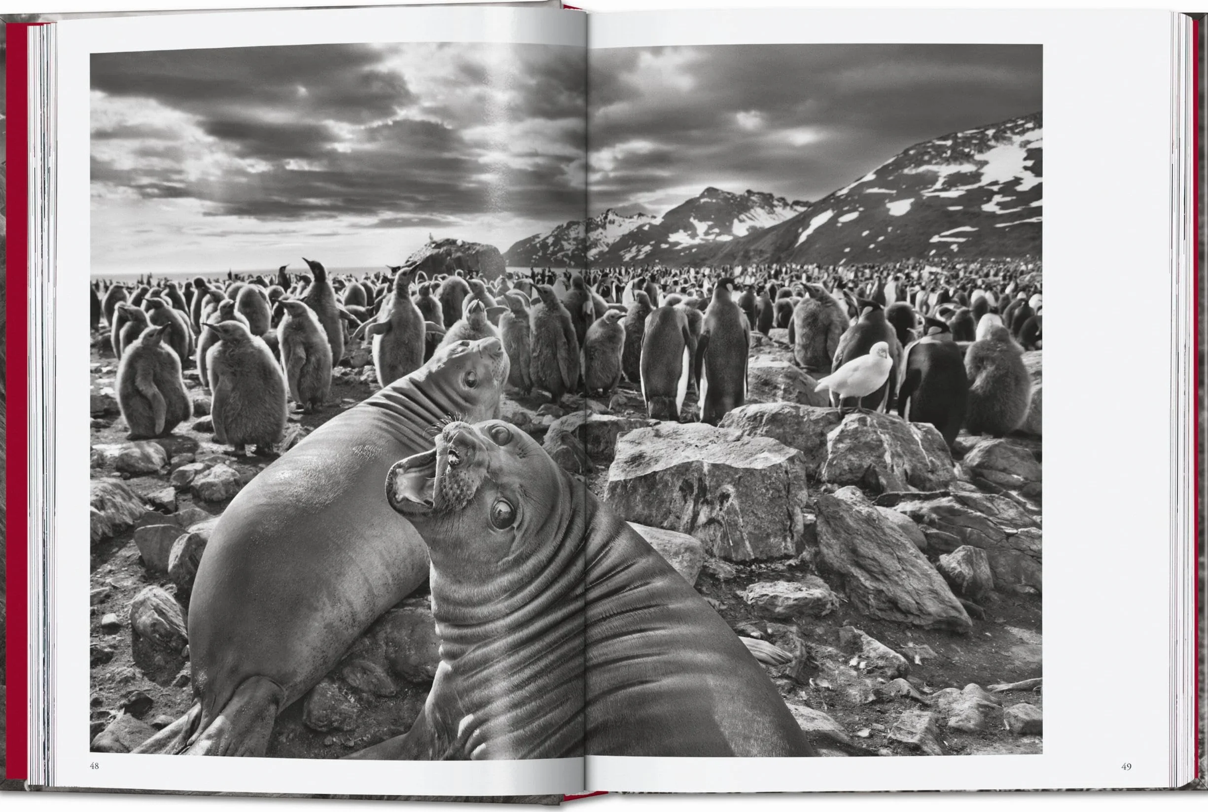Sebastião Salgado. Genesis. 45th Ed.