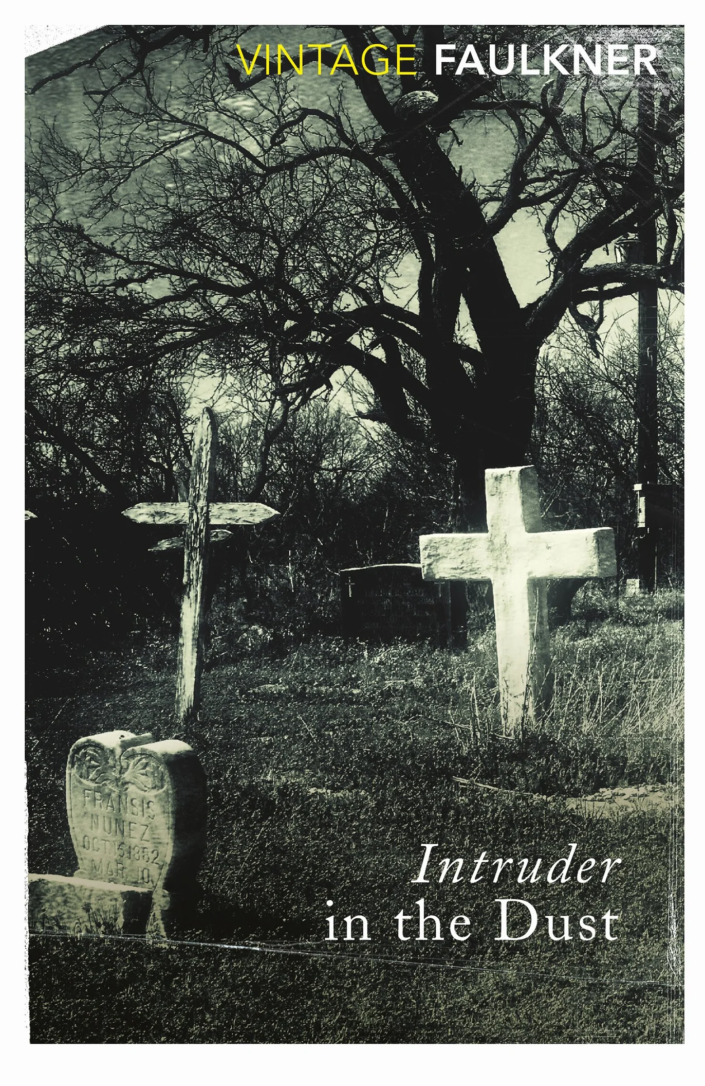 Intruder In The Dust