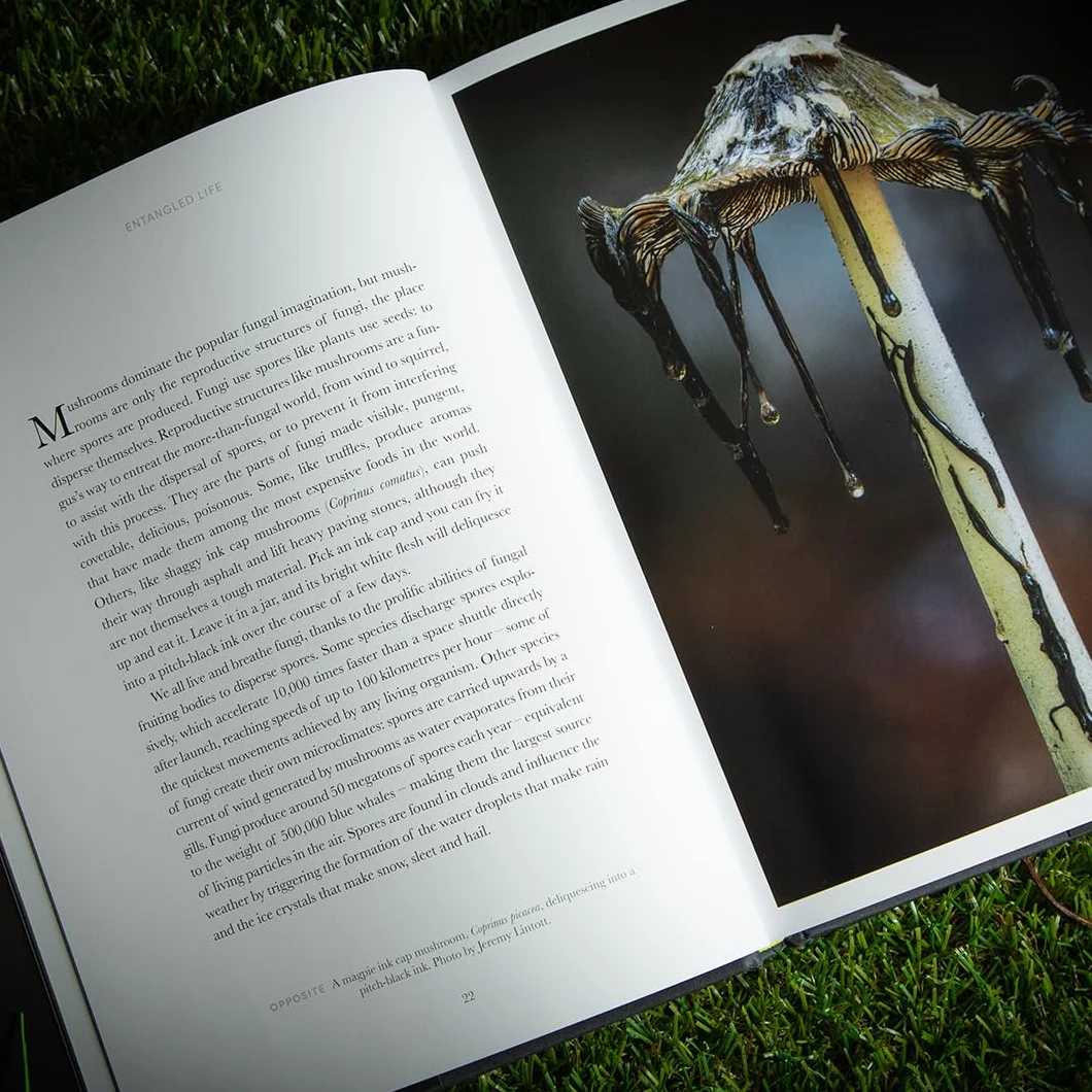 Entangled Life: A beautiful new edition of the Sunday Times bestseller featuring 100 illustrations