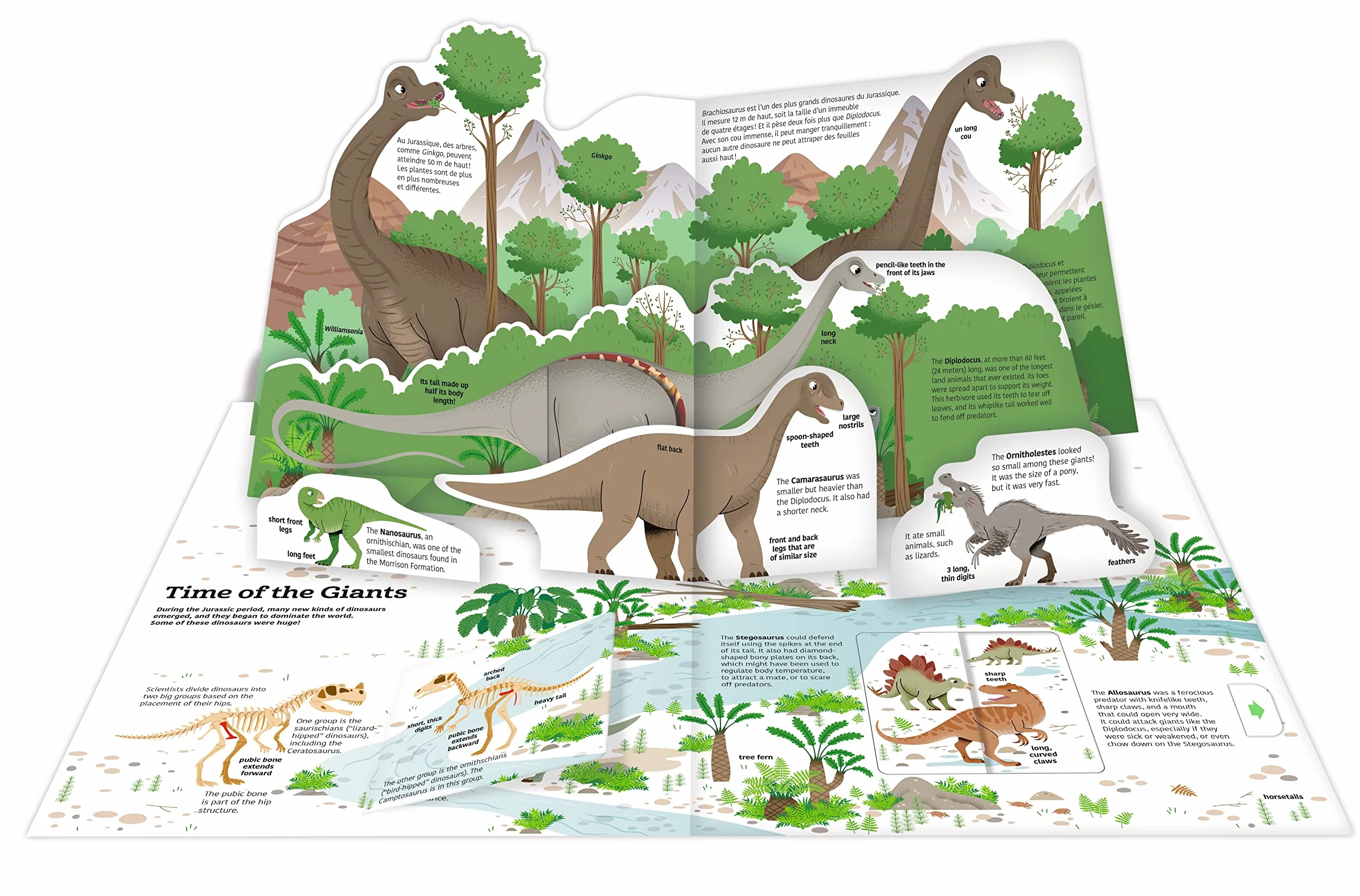 The Ultimate Book of Dinosaurs and Other Prehistoric Creatures: Lift-the-Flap Book: 10