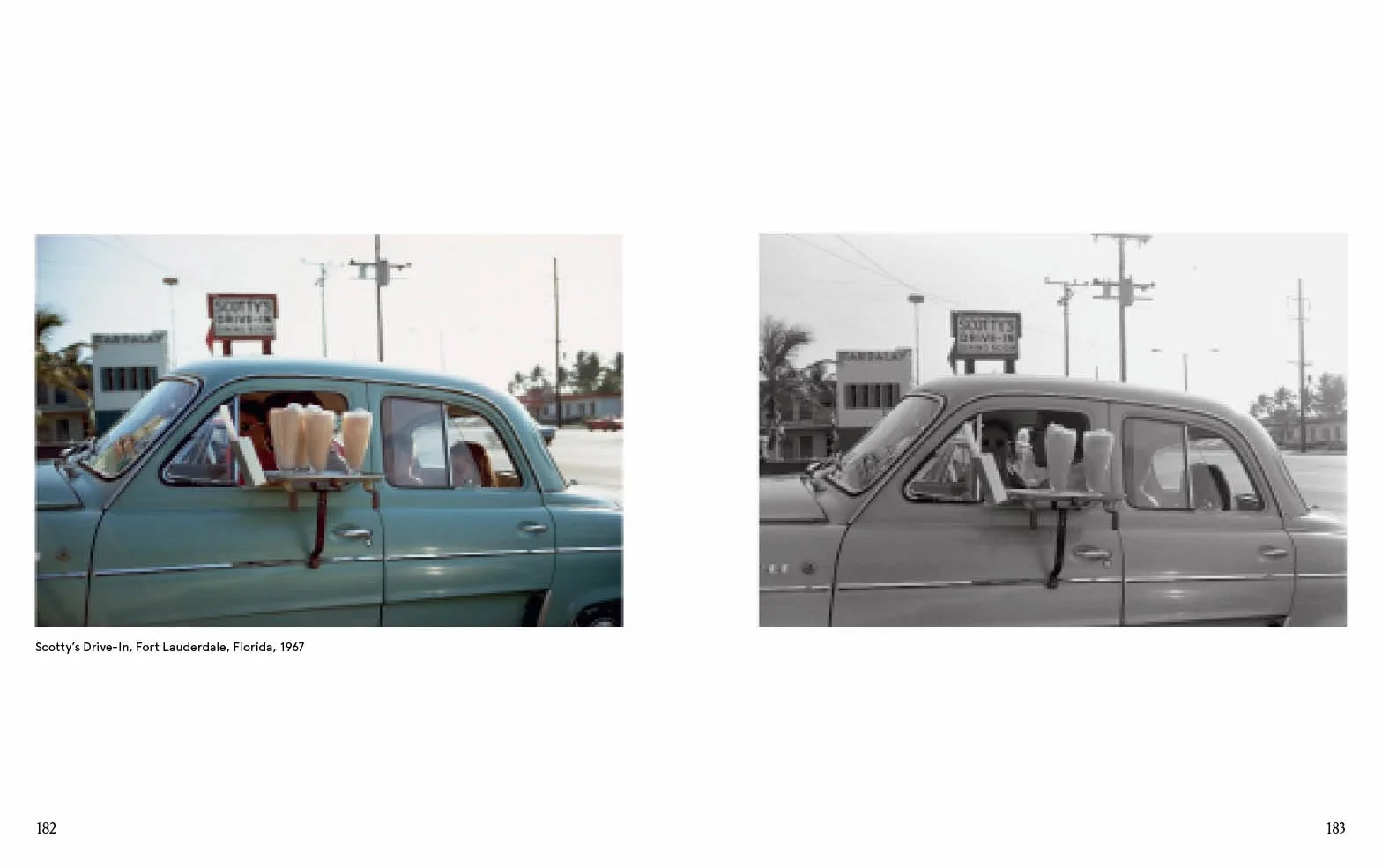 Joel Meyerowitz : A Question of Colour /anglais