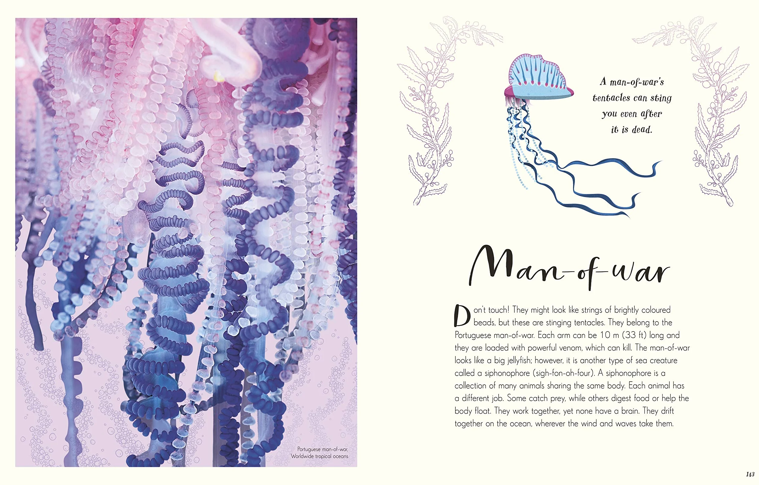 The Wonders of Nature (DK Children's Anthologies): Discover the Incredible Stories of the Natural World