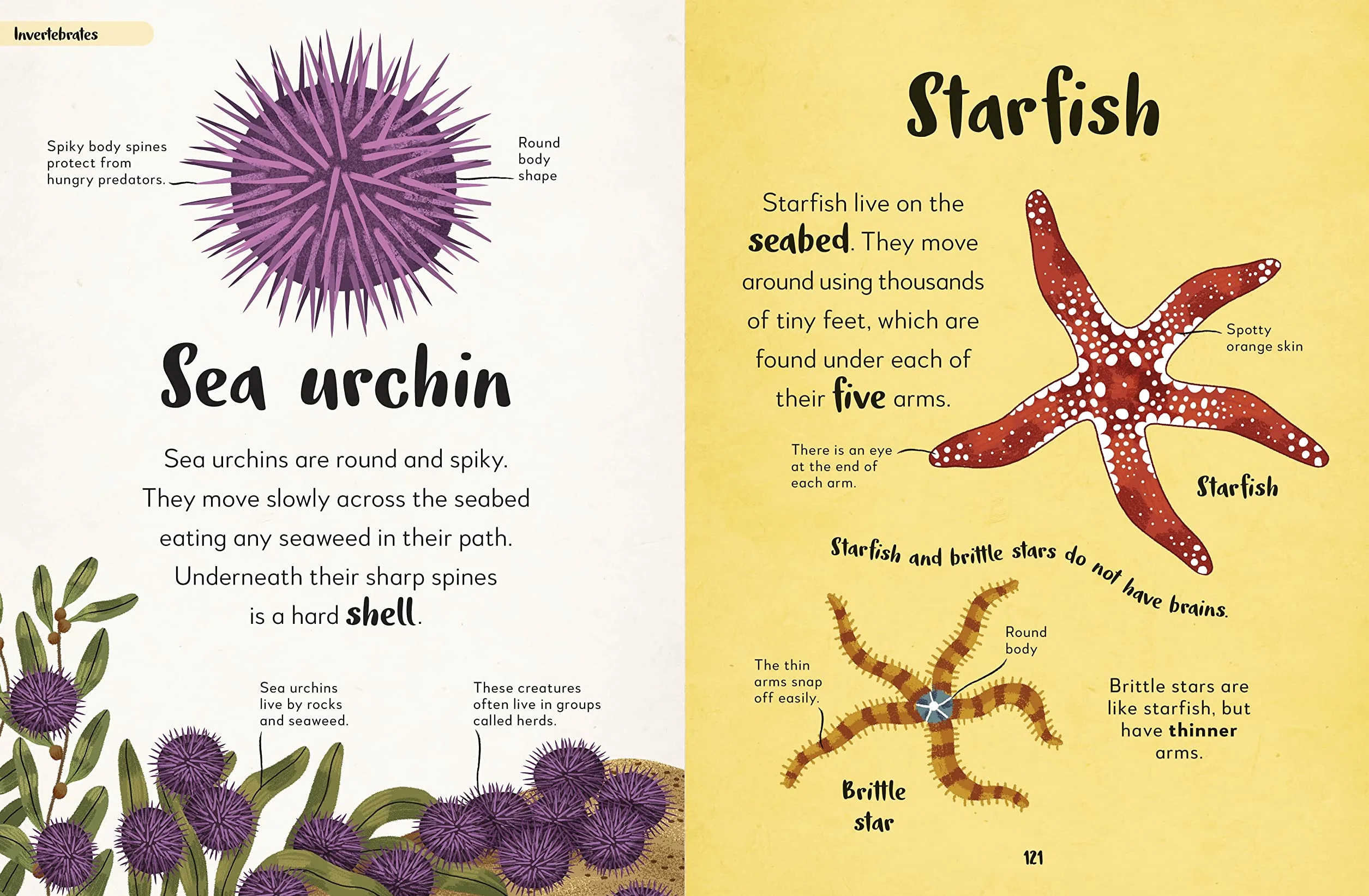 The Bedtime Book of Animals: Take a Peek at more than 50 of your Favourite Animals
