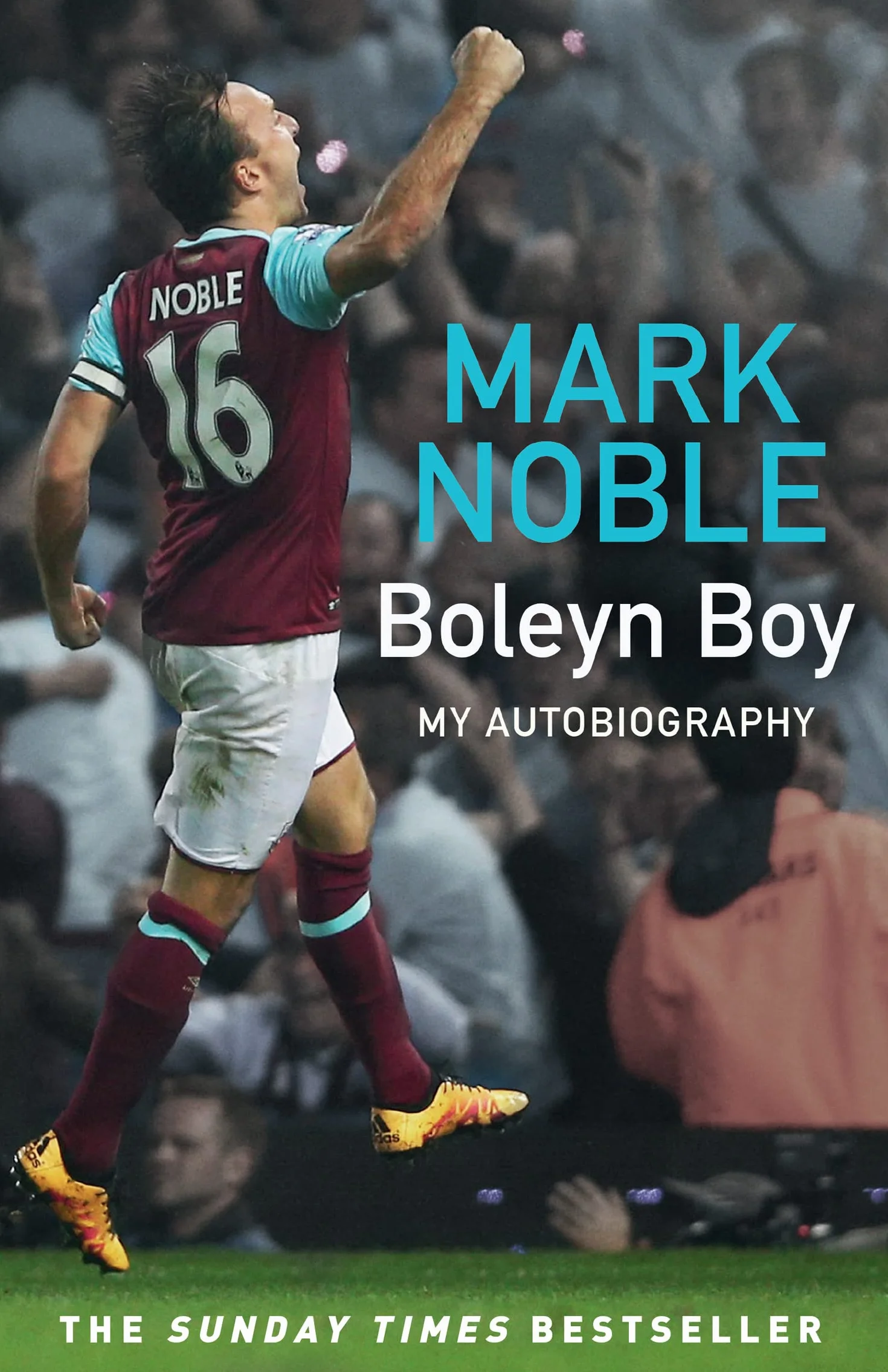 Boleyn Boy: My Autobiography