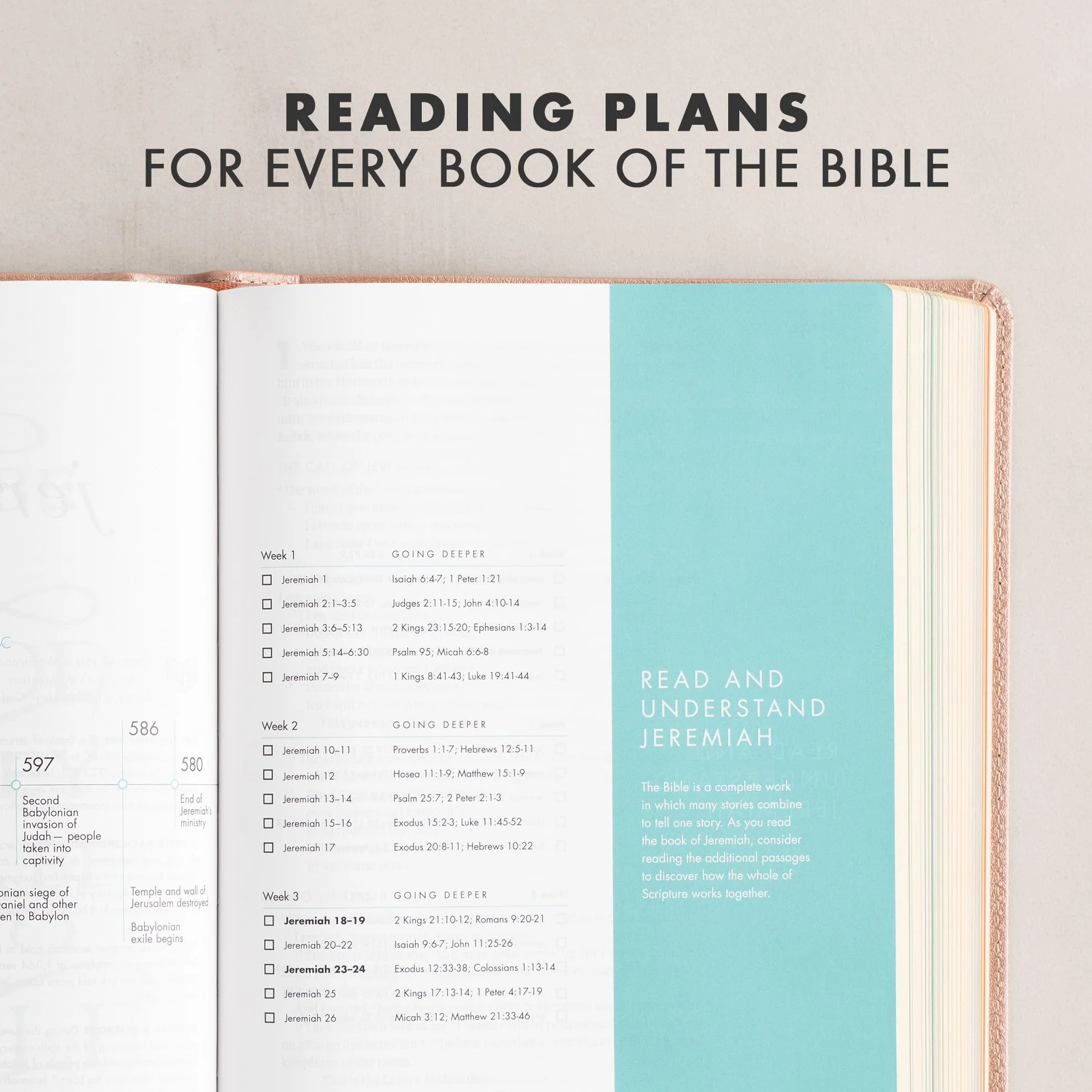 CSB She Reads Truth Bible, Rose Gold Leathertouch: Notetaking Space, Devotionals, Reading Plans, Easy-To-Read Font
