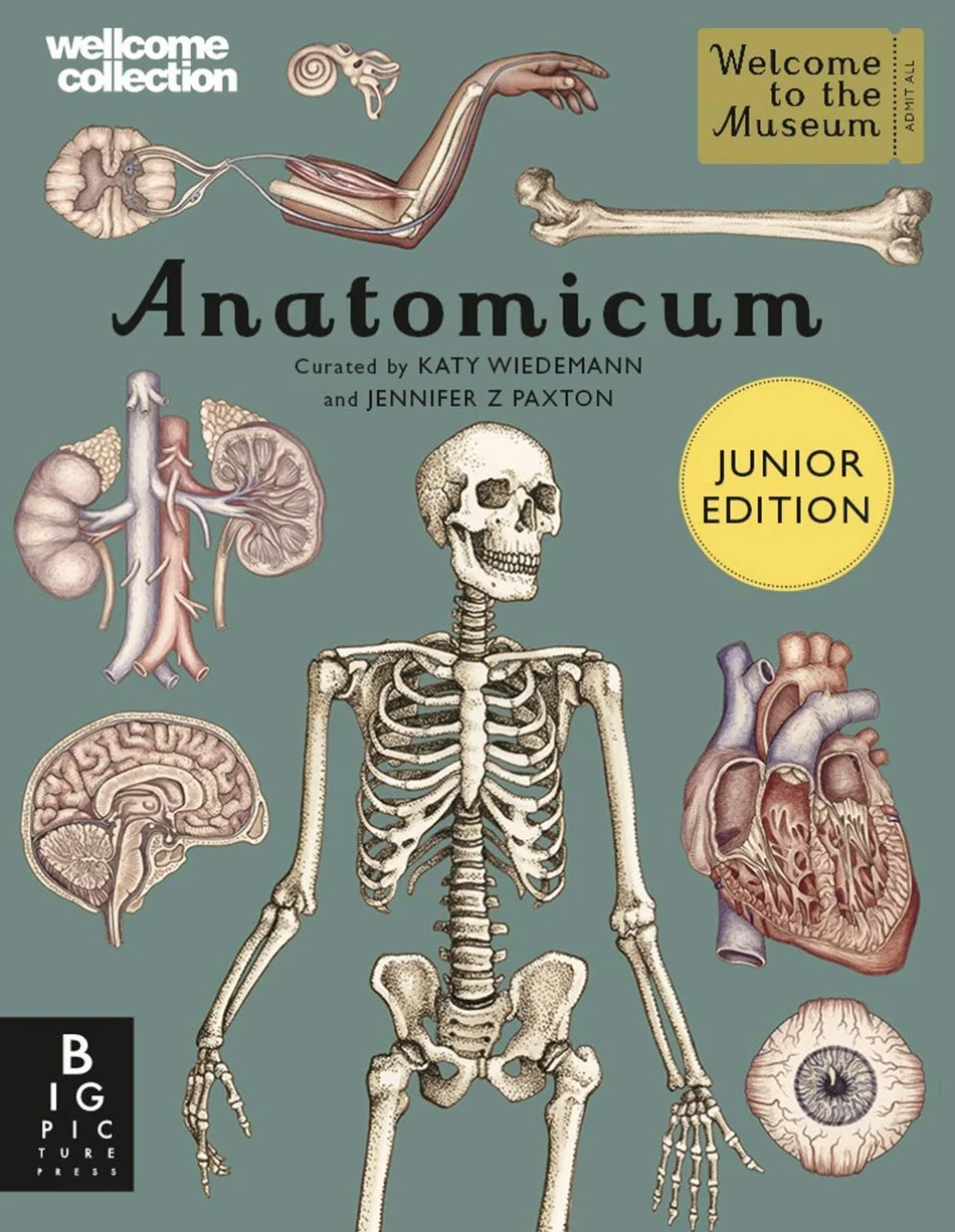 Anatomicum Junior