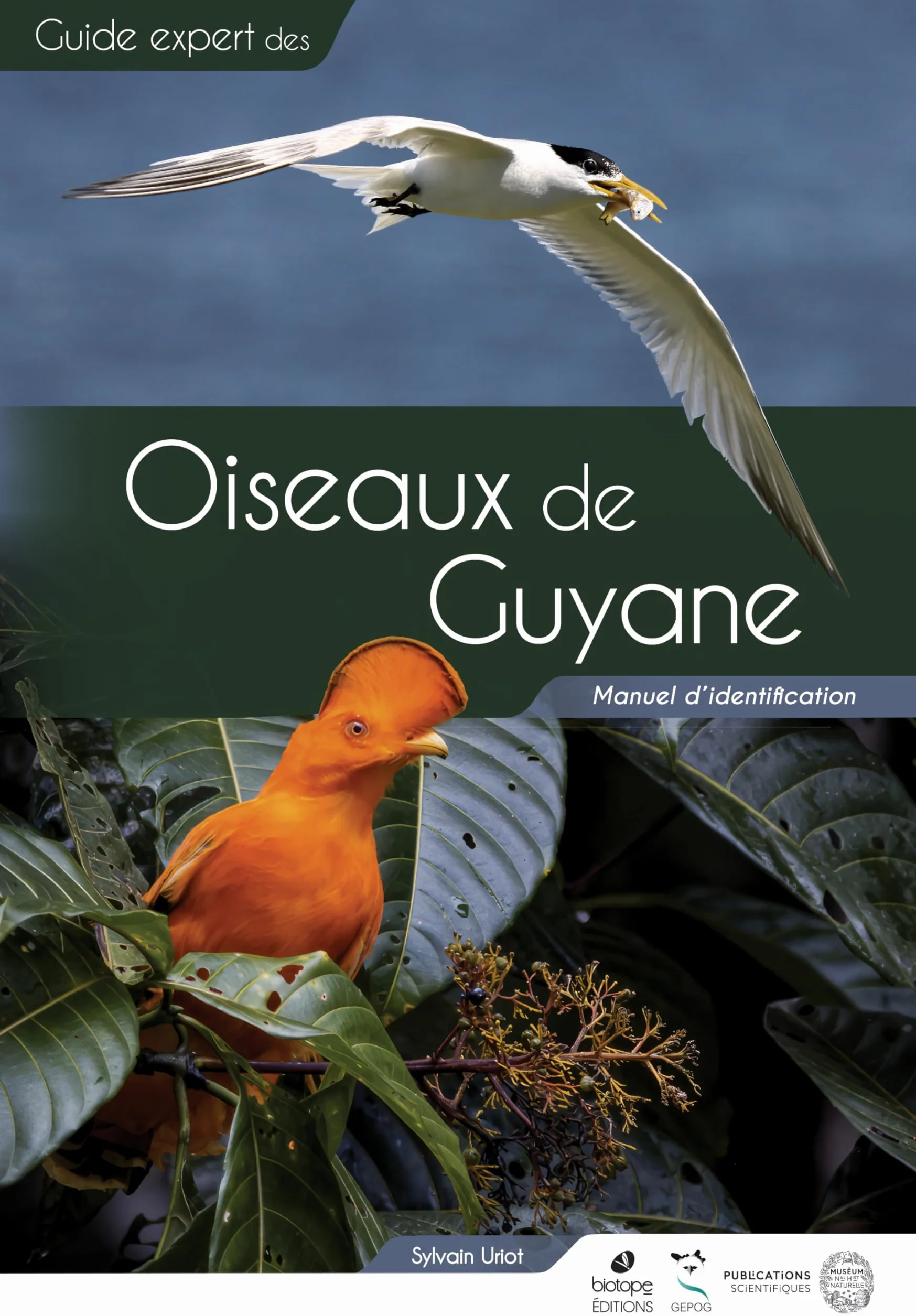 Guide expert des oiseaux de Guyane: Manuel d'identification