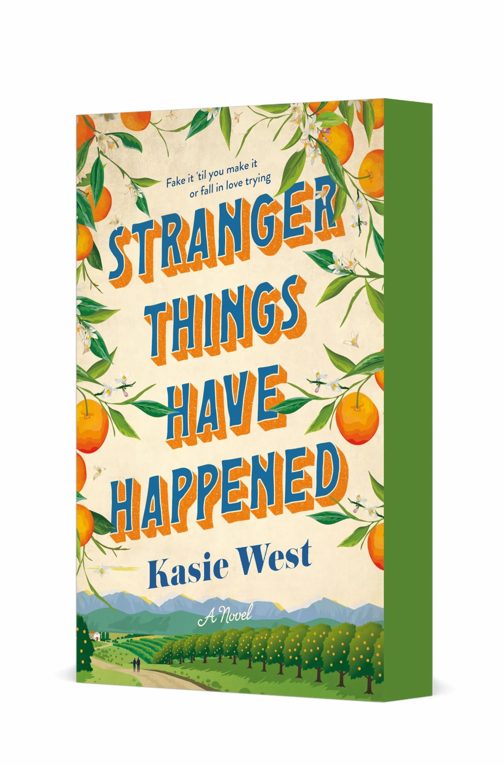Stranger Things Have Happened: A Novel