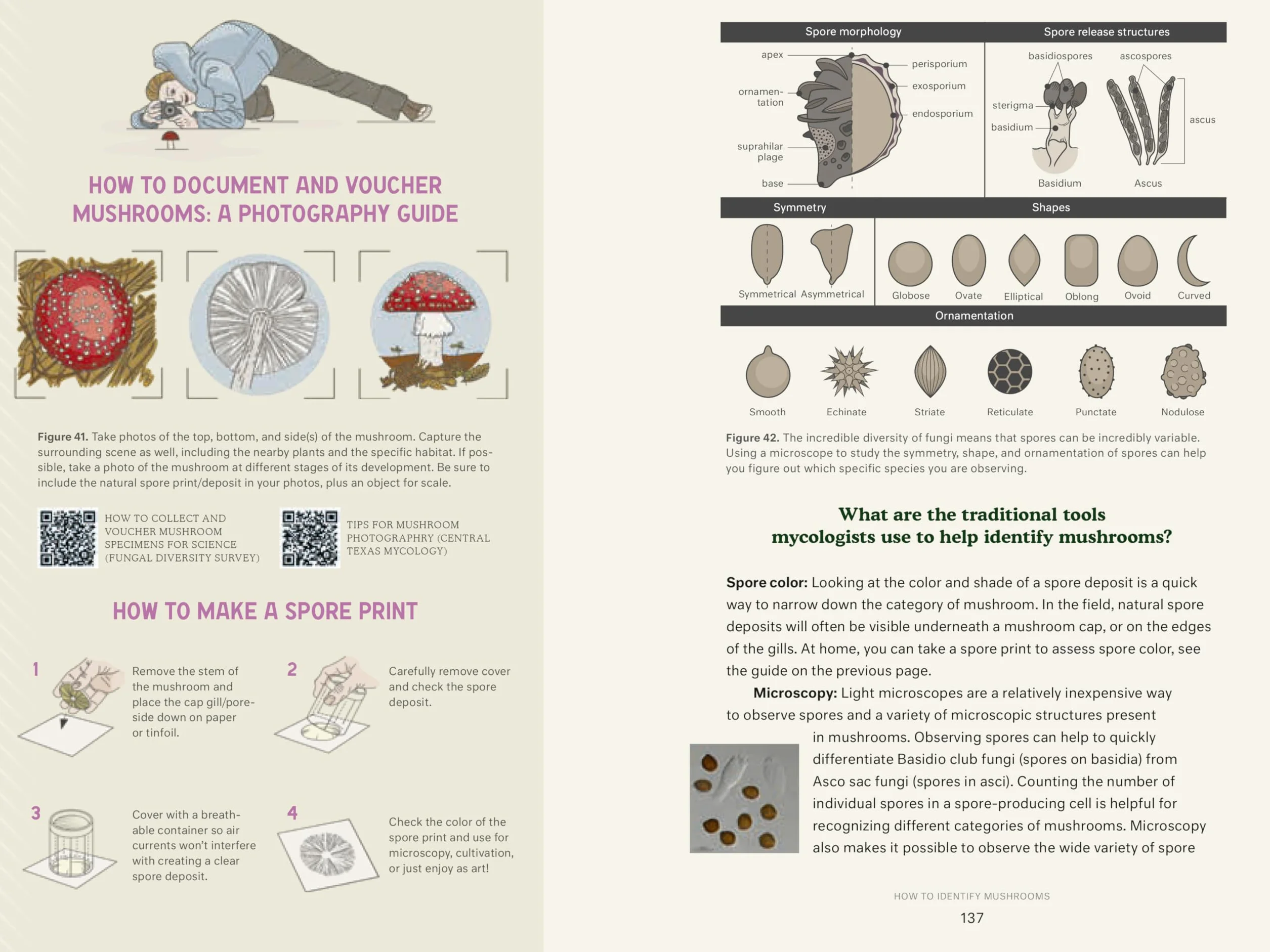 Dr. Fun Guy's Passport to Kingdom Fungi: A Scientist's Guide to the Wild and Wonderful World of Mushrooms, Molds, and More