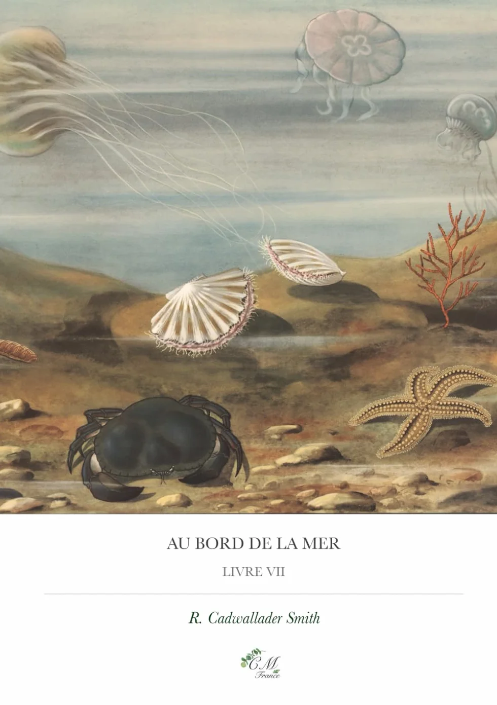 Au bord de la mer