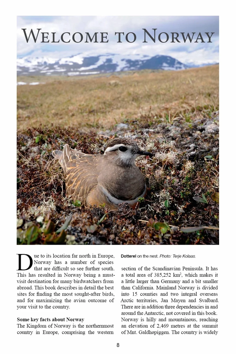 A Birdwatcher's Guide to Norway: Where, When and How to Find Scandinavia's Most Sought-After Birds