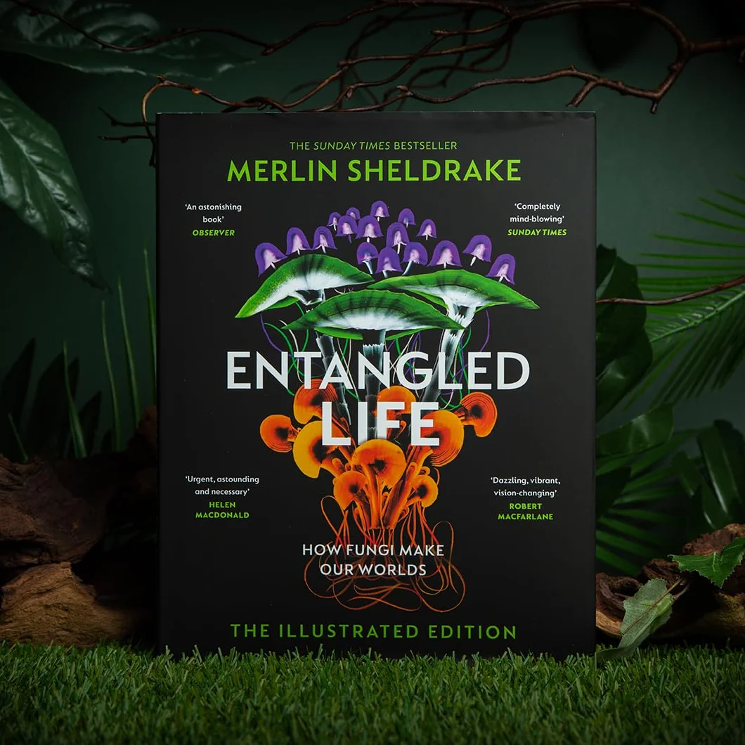 Entangled Life: A beautiful new edition of the Sunday Times bestseller featuring 100 illustrations