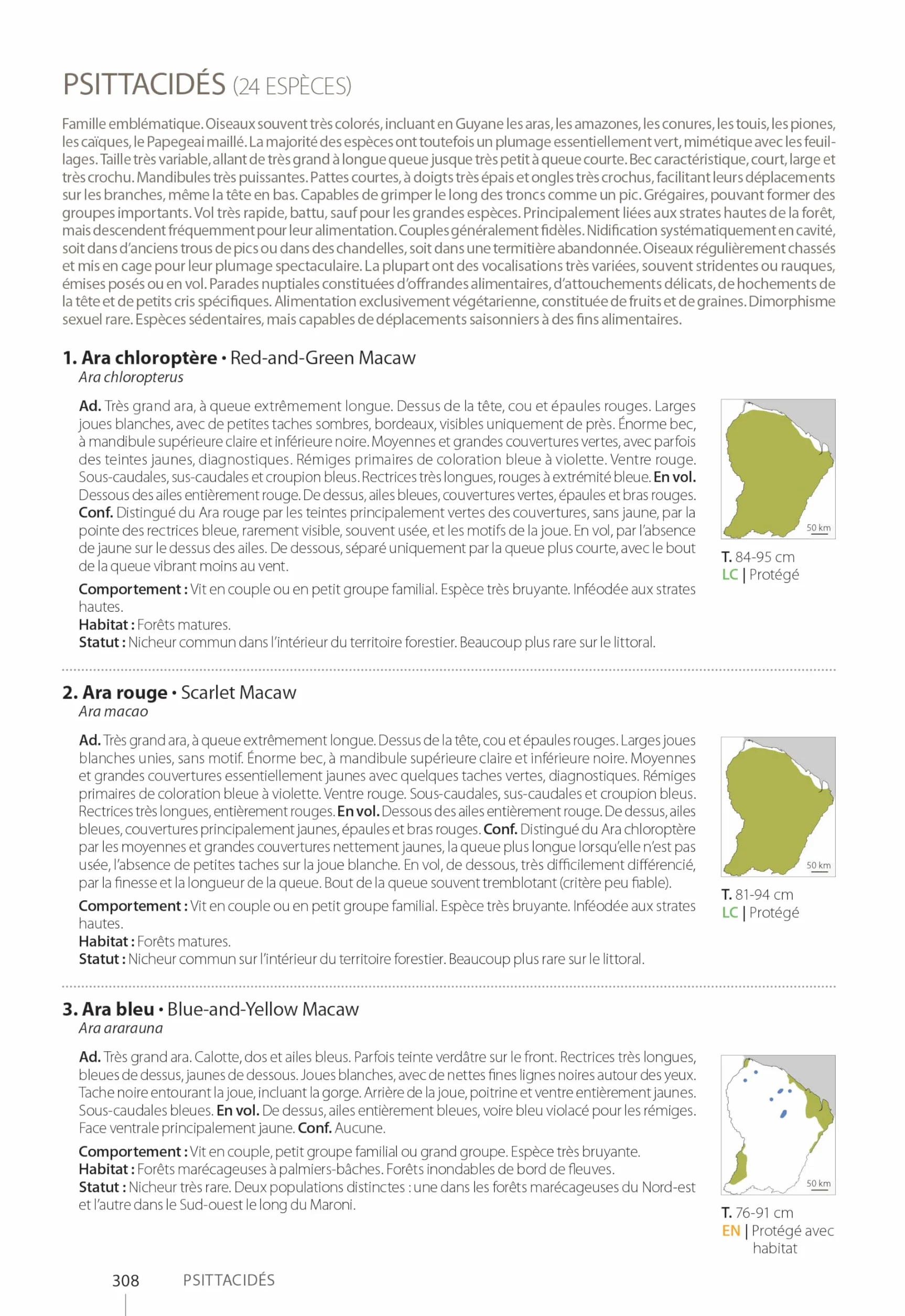 Guide expert des oiseaux de Guyane: Manuel d'identification