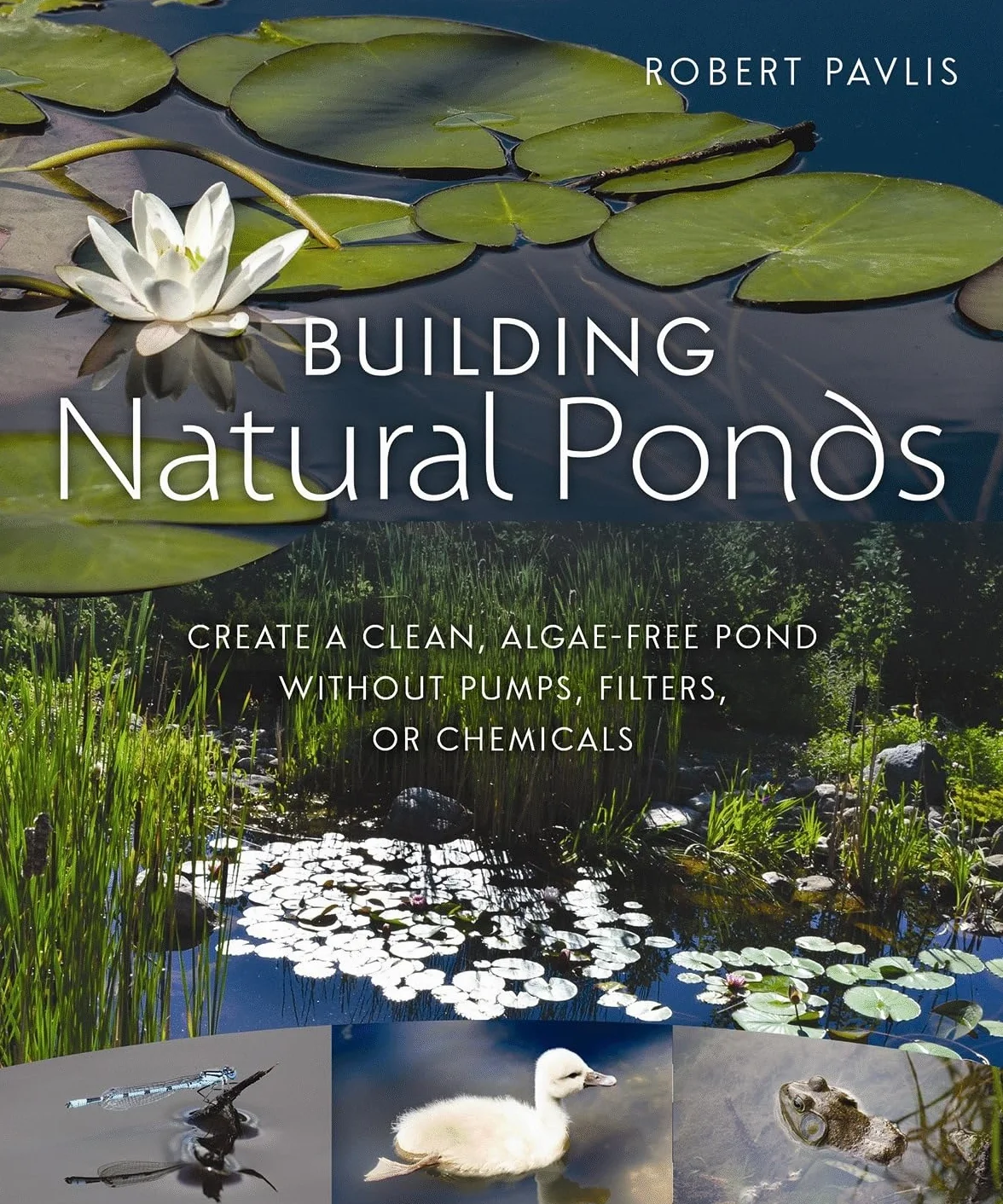 Building Natural Ponds: Create a Clean, Algae-Free Pond Without Pumps, Filters, or Chemicals