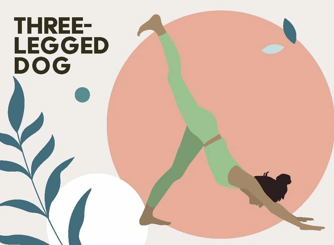 Yoga Asana Cards: 50 poses & 25 sequences