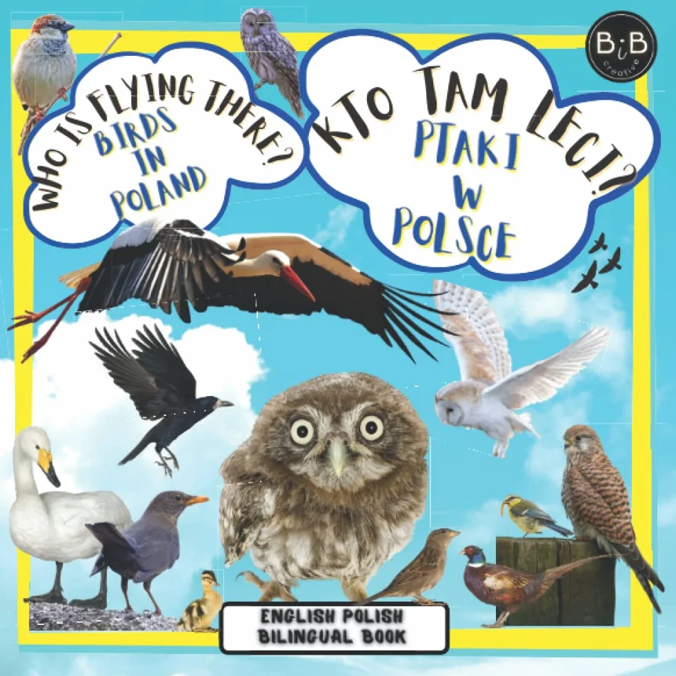 English Polish Bilingual Book Kto tam leci? Ptaki w Polsce / Who is flying there? Birds in Poland: Children's book in Polish Reading Language Books ... Polsku dla Dzieci Album Ptaki Ksiazki Polskie