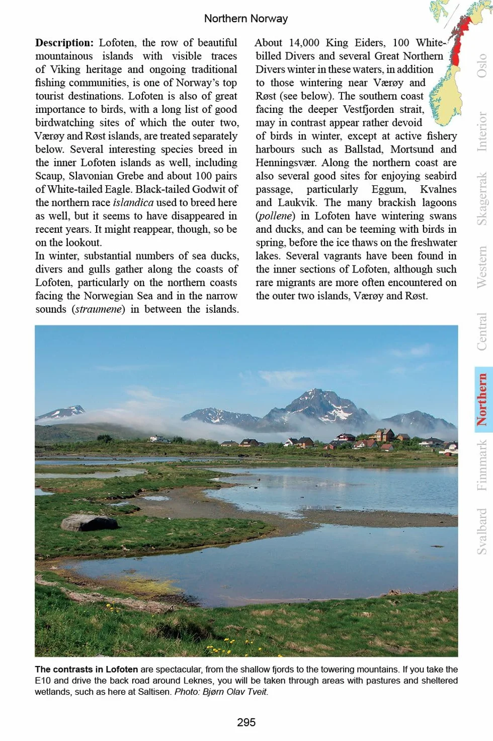 A Birdwatcher's Guide to Norway: Where, When and How to Find Scandinavia's Most Sought-After Birds