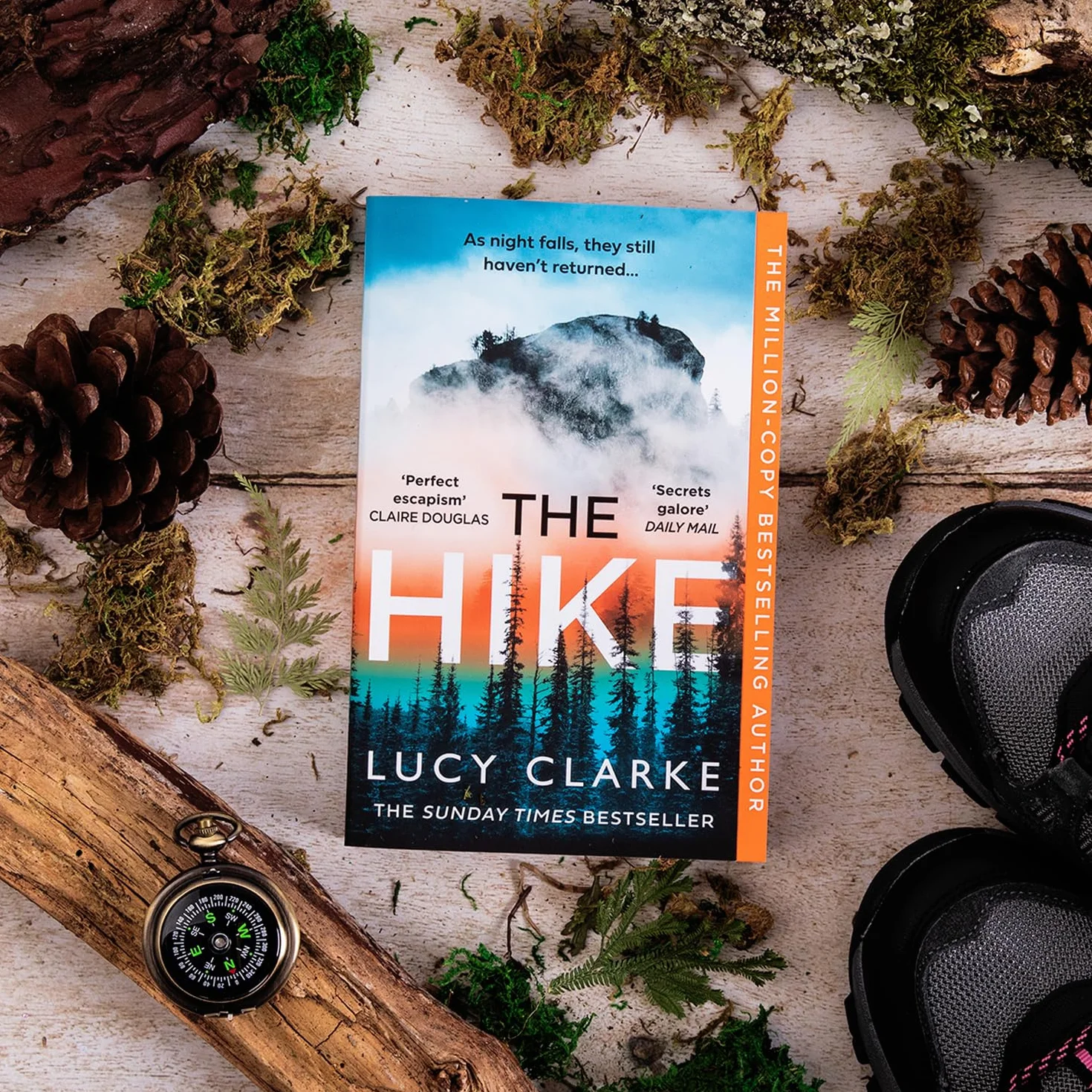 The Hike: The Sunday Times bestseller and the perfect thriller novel to curl up with for winter