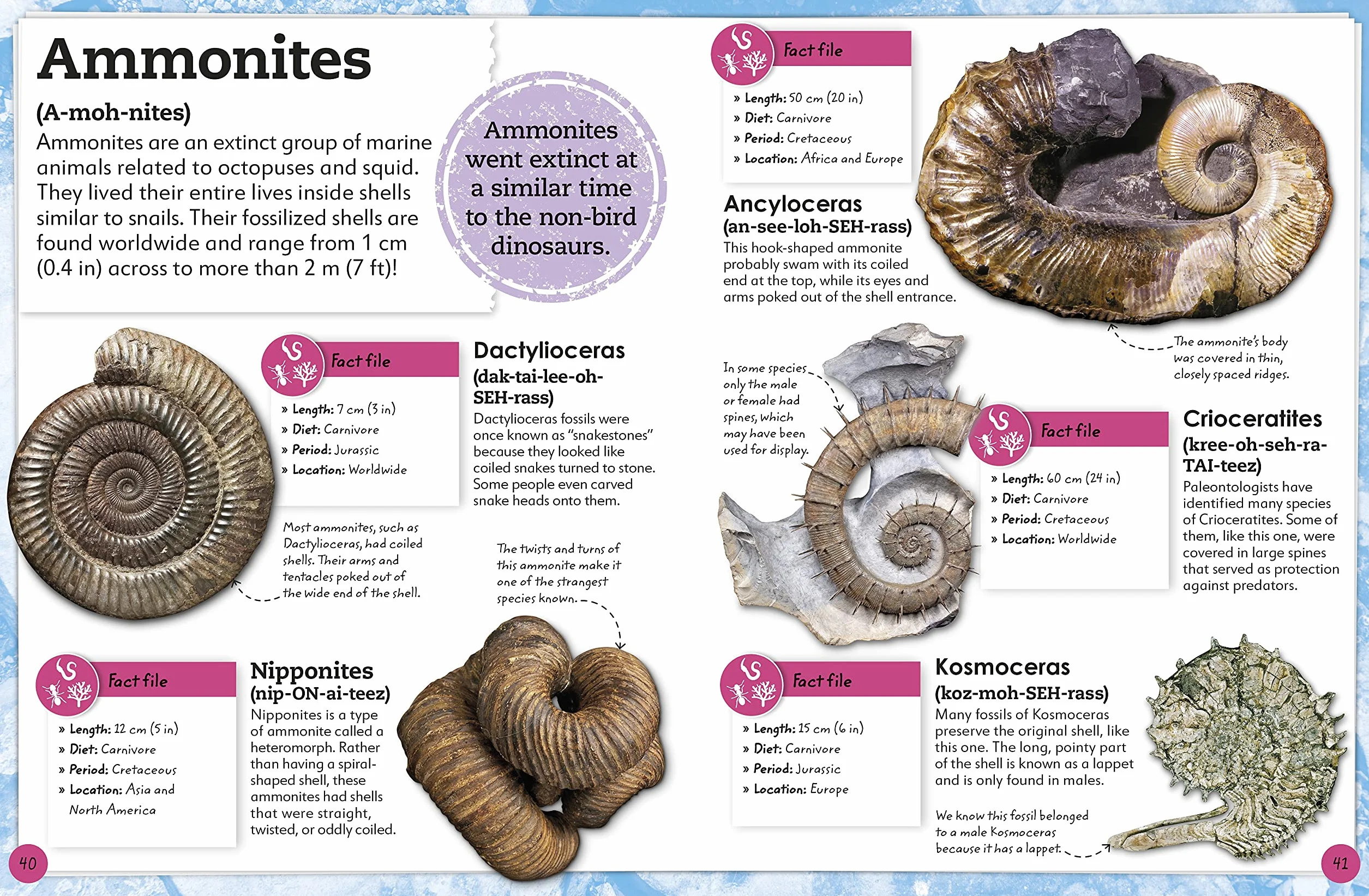 My Book of Fossils: A fact-filled guide to prehistoric life