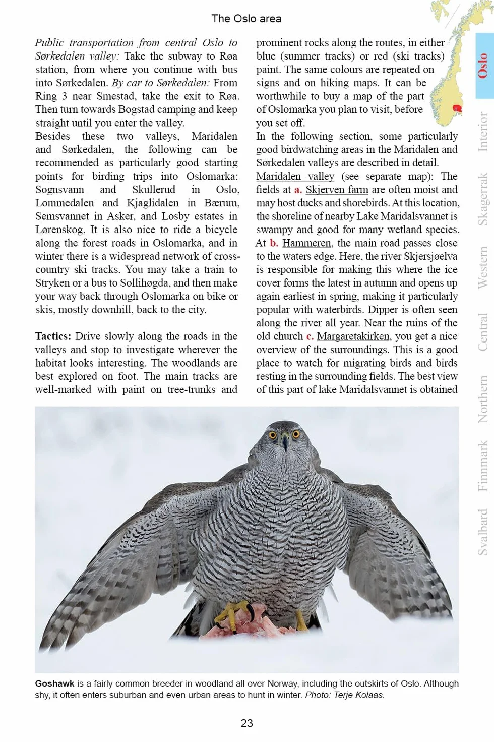 A Birdwatcher's Guide to Norway: Where, When and How to Find Scandinavia's Most Sought-After Birds