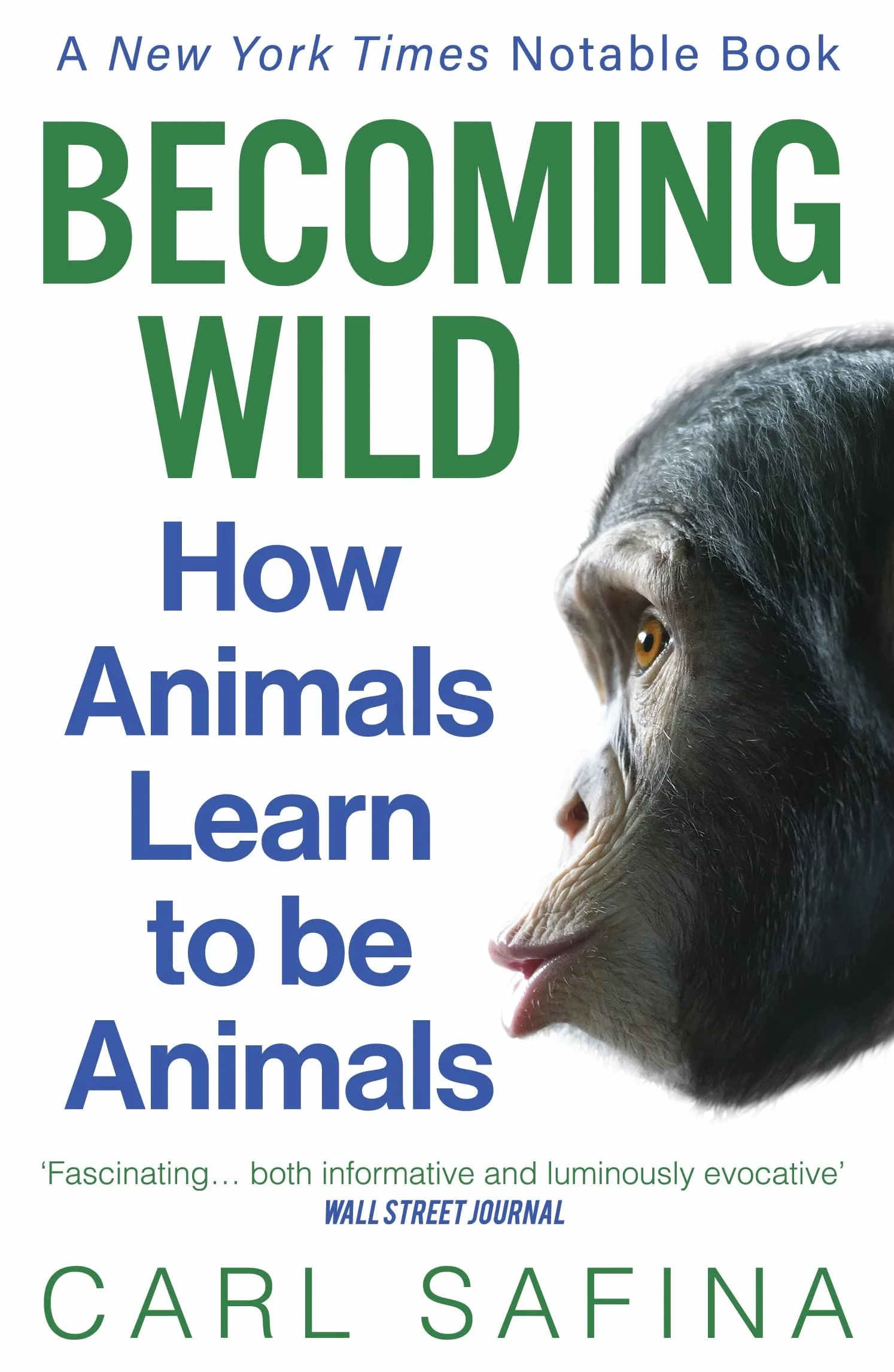Becoming Wild: How Animals Learn to be Animals
