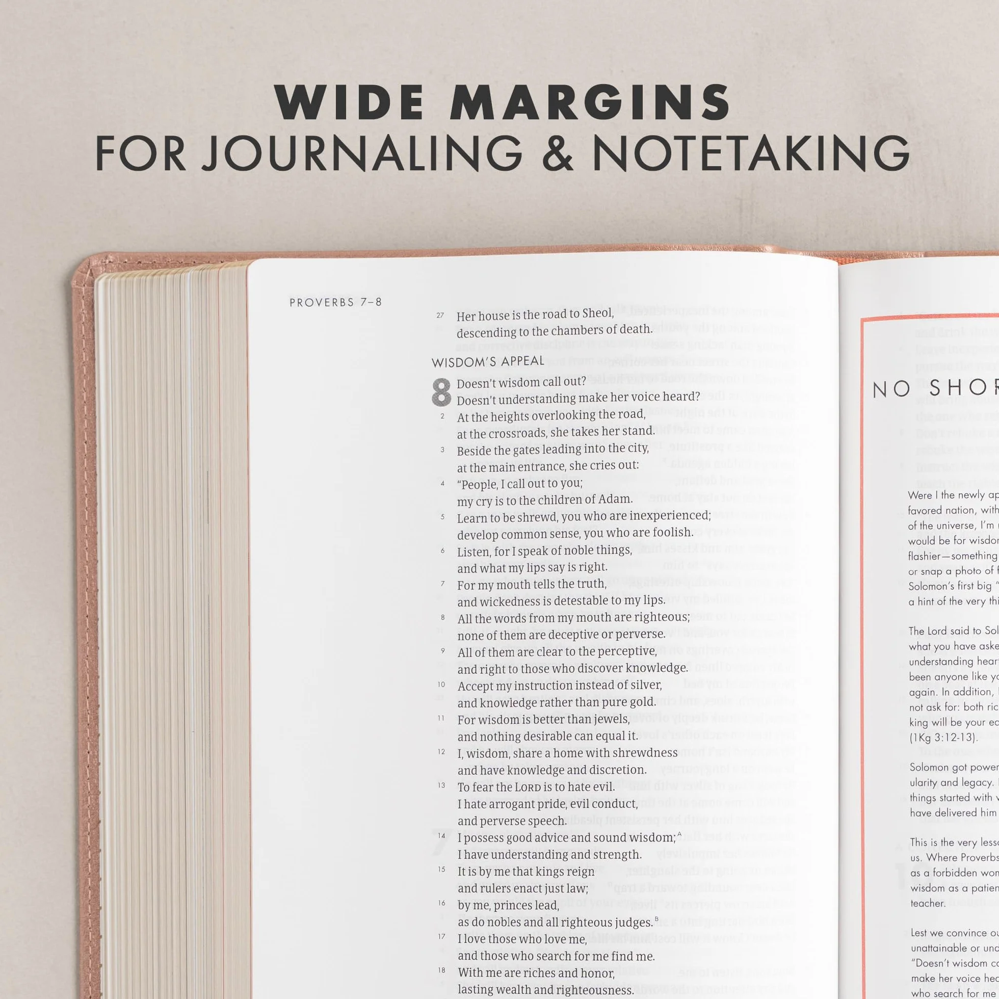 CSB She Reads Truth Bible, Rose Gold Leathertouch: Notetaking Space, Devotionals, Reading Plans, Easy-To-Read Font