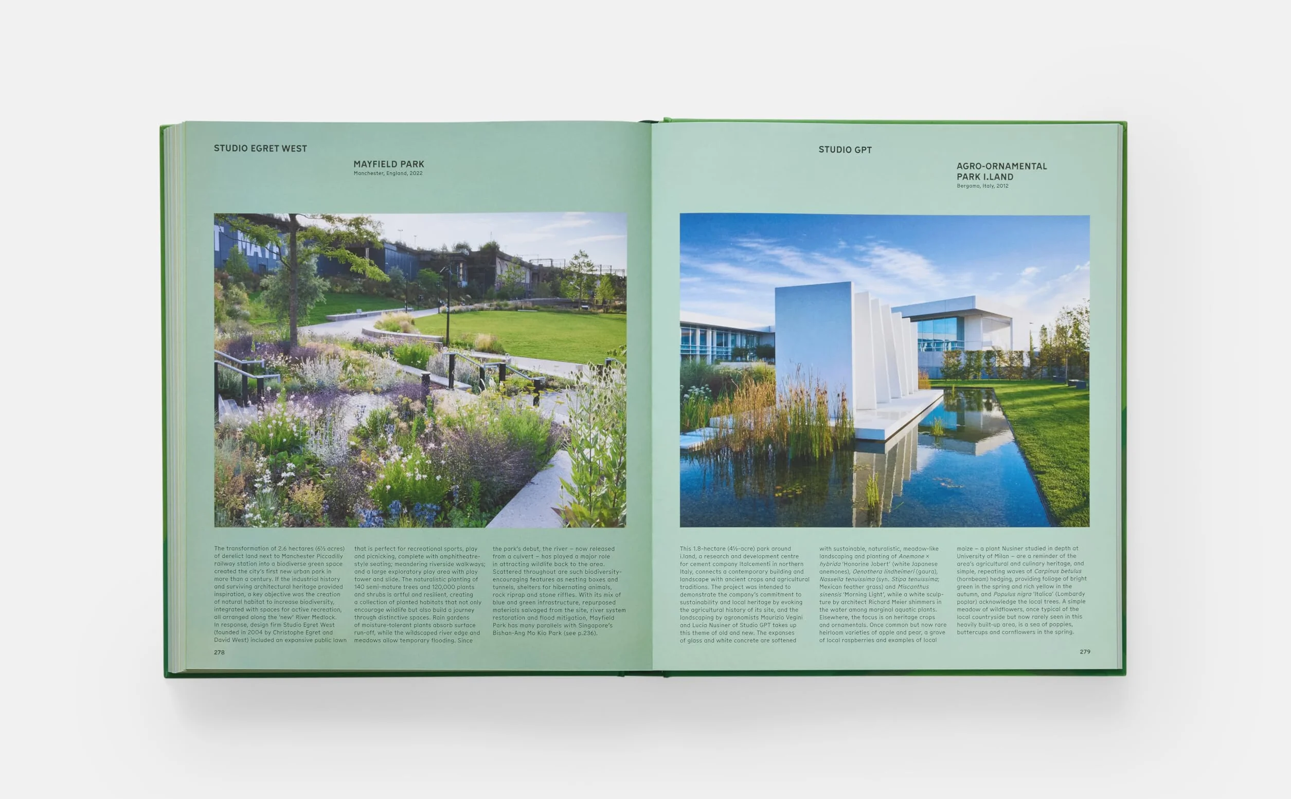 The Contemporary Garden