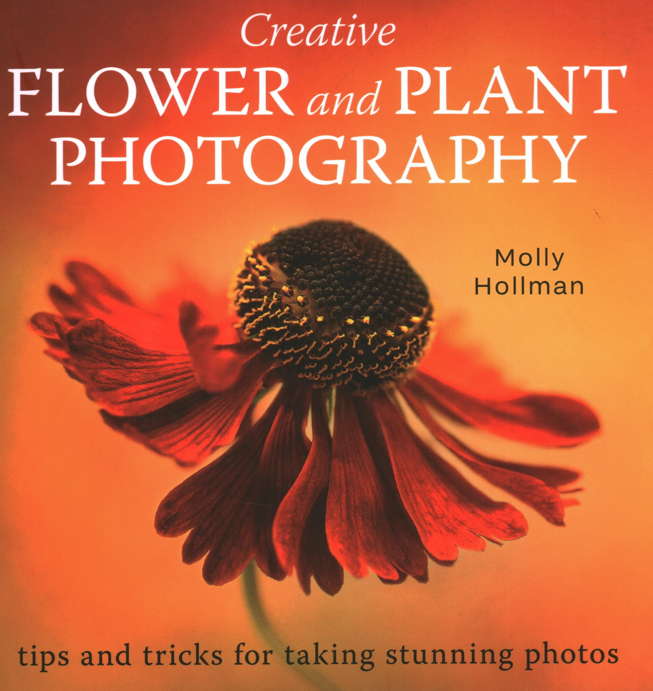 Creative Flower and Plant Photography: Tips and Tricks for Taking Stunning Shots