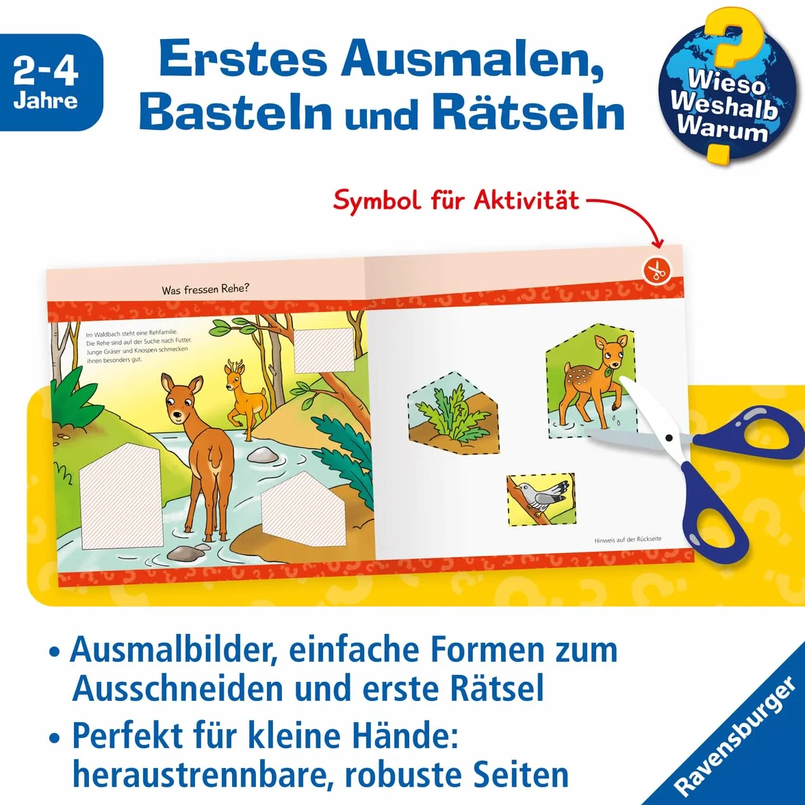 Wieso? Weshalb? Warum? junior AKTIV - Im Wald