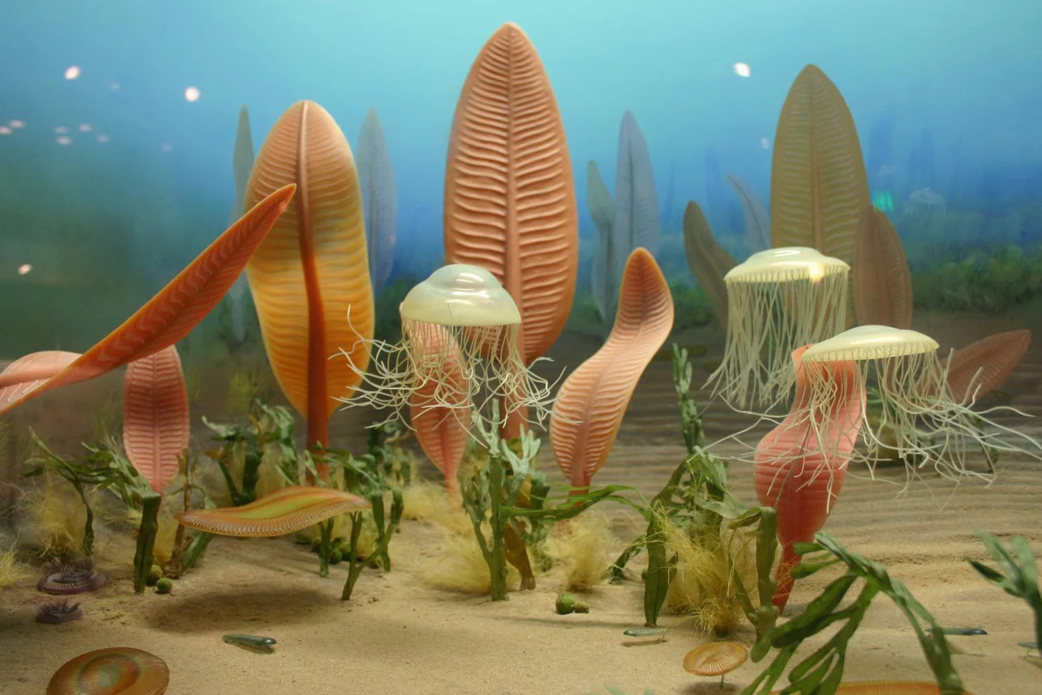 The Zoologists Guide to the Galaxy: What Animals on Earth Reveal About Alens - and Ourselves