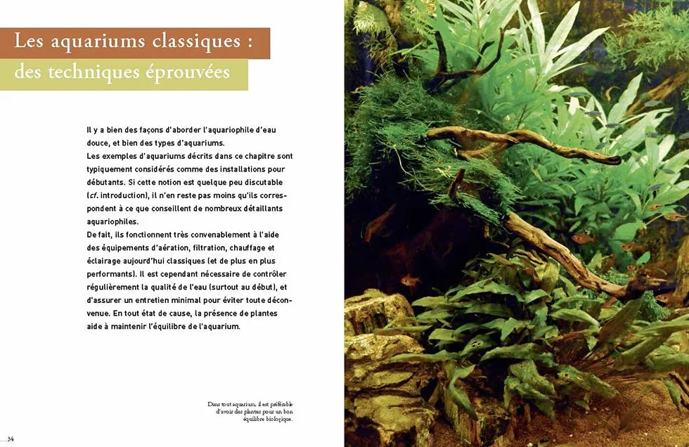 L'aquarium d'eau douce - Guide pratique du débutant
