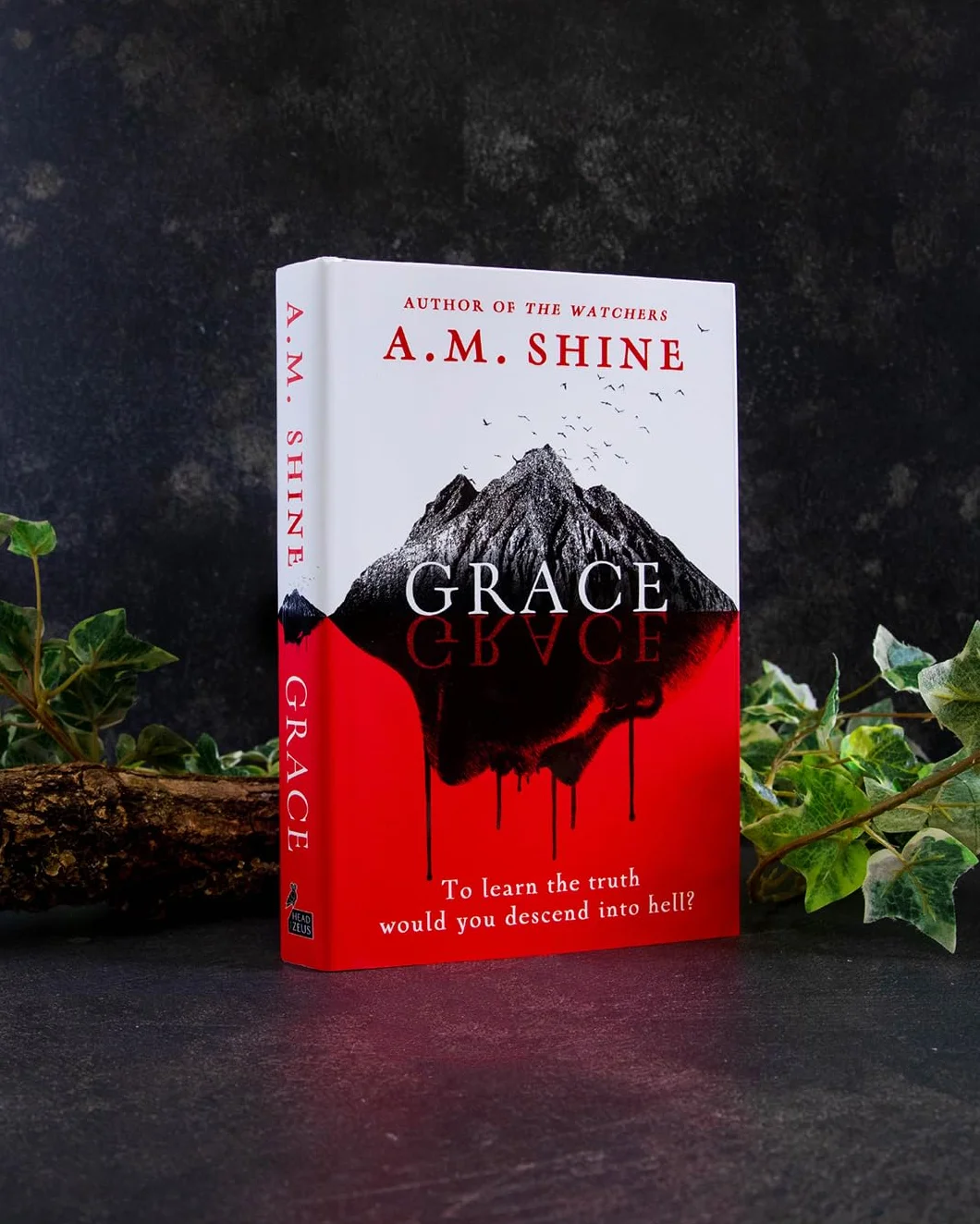 Grace: an edge-of-your-seat horror novel from the author of The Watchers