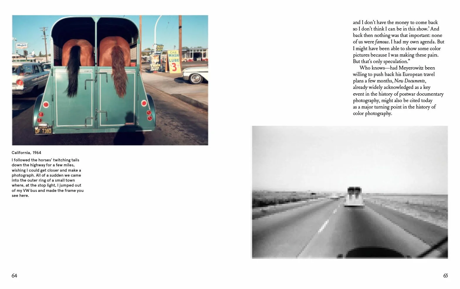 Joel Meyerowitz : A Question of Colour /anglais