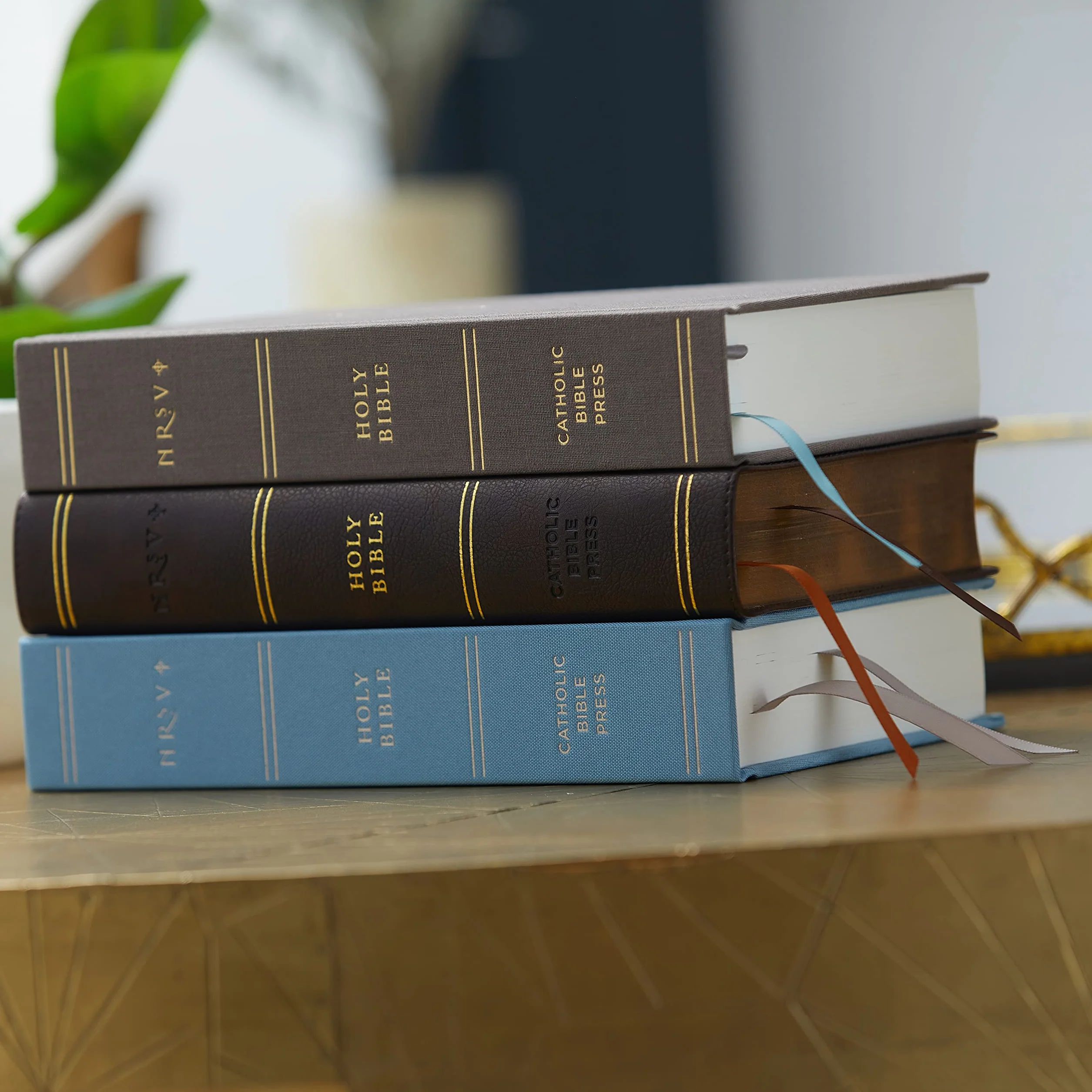 Nrsv, Catholic Bible, Journal Edition, Leathersoft, Brown, Comfort Print: Holy Bible