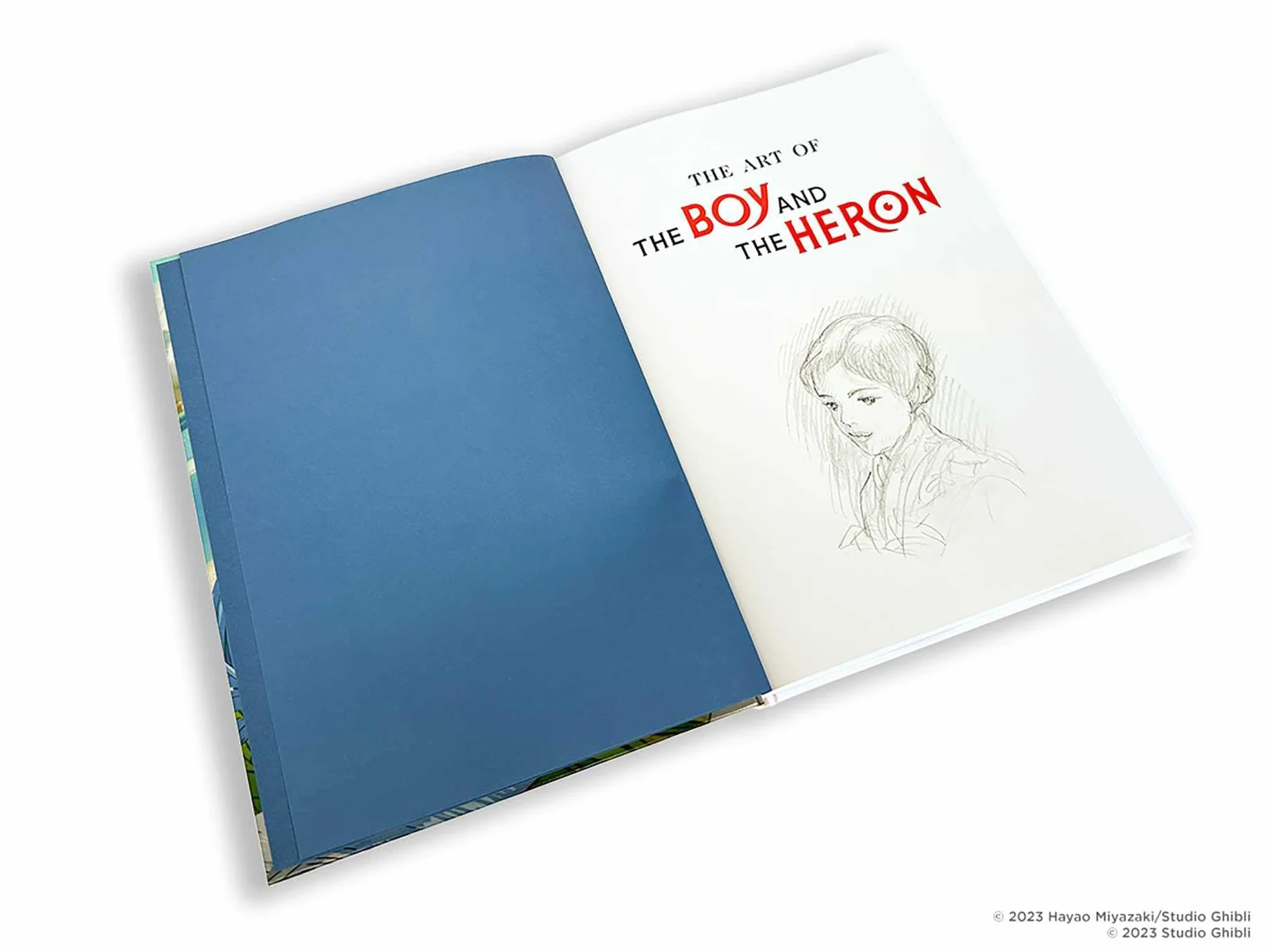 The Art of the Boy and the Heron