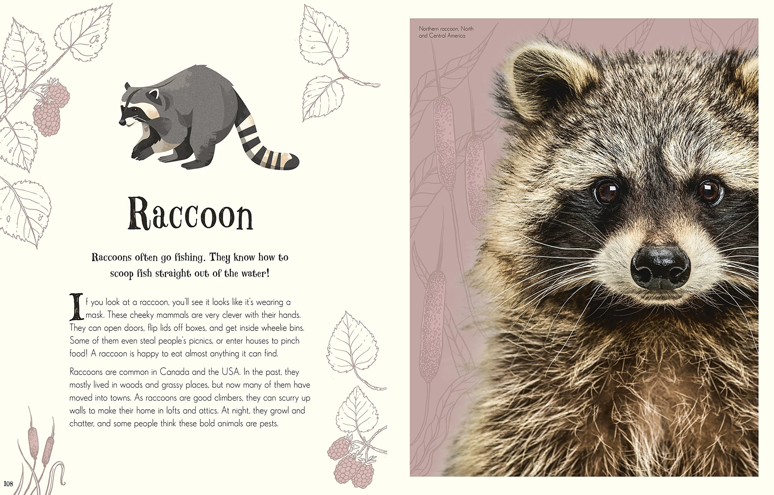 An Anthology of Intriguing Animals (DK Children's Anthologies): Discover the Fascinating Truths of the Animal Kingdom